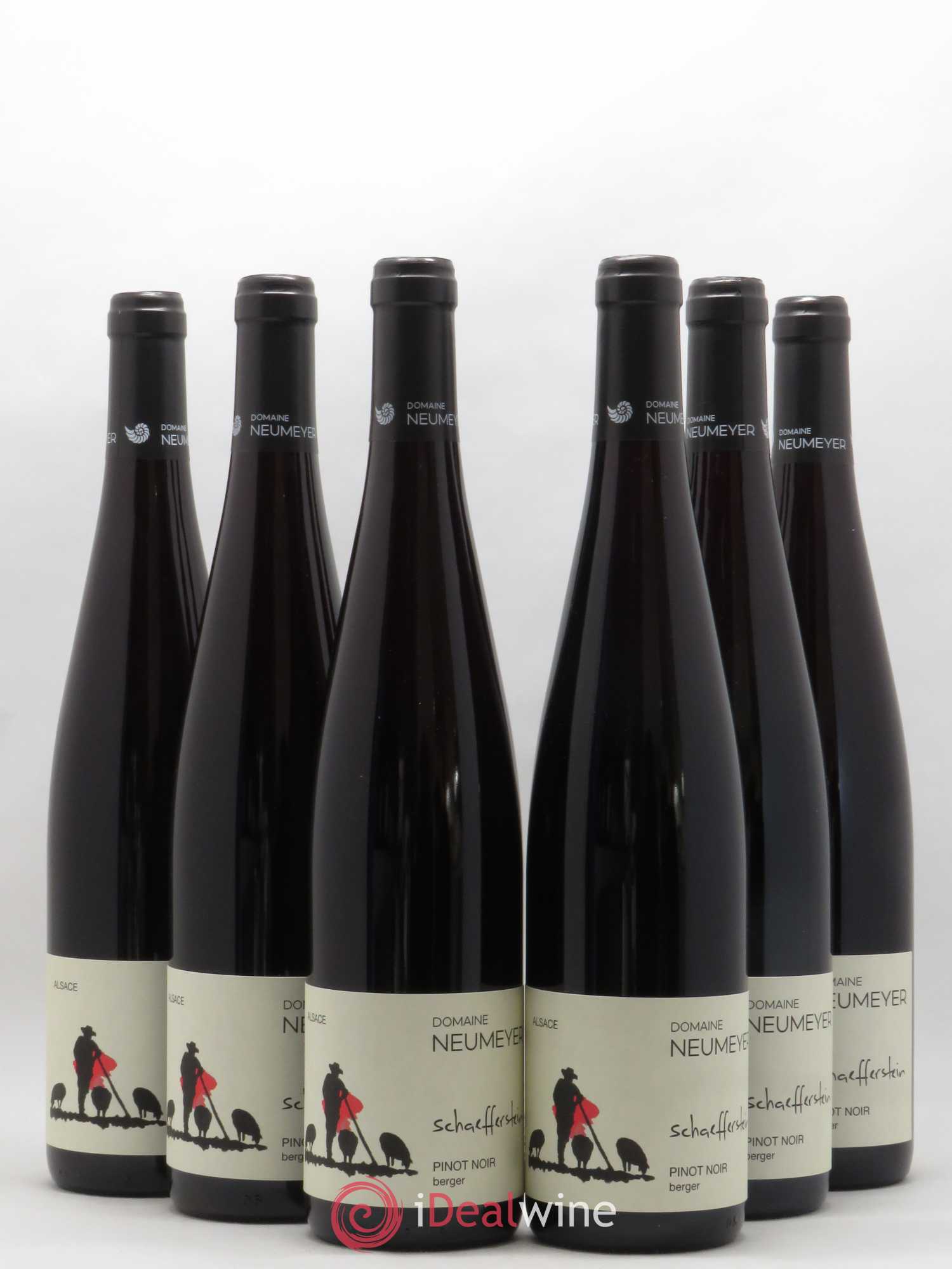 Pinot Noir Neumeyer Berger 2019 - Lot of 6 bottles - 0
