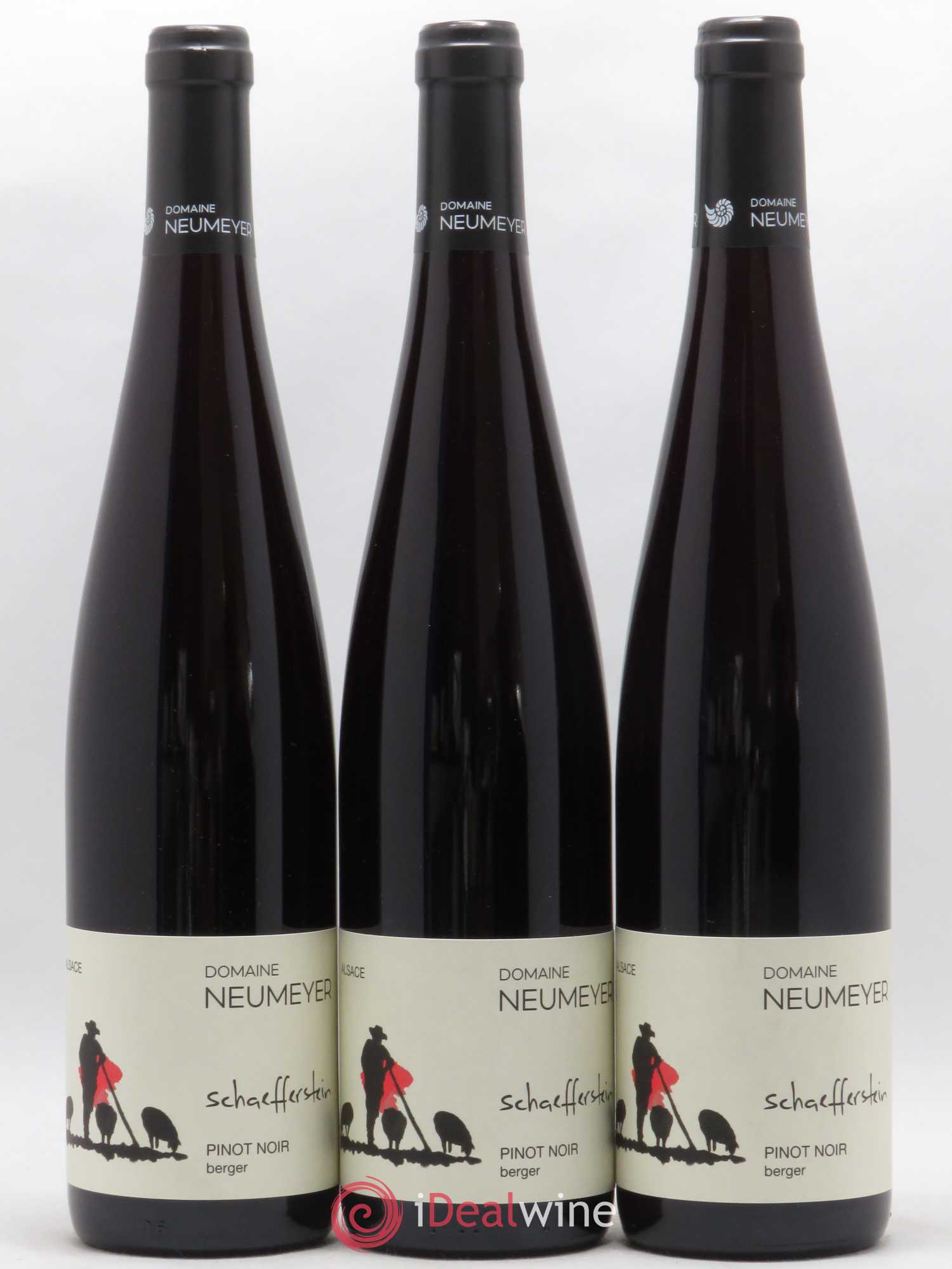 Pinot Noir Neumeyer Berger 2019 - Posten von 3 Flaschen - 0