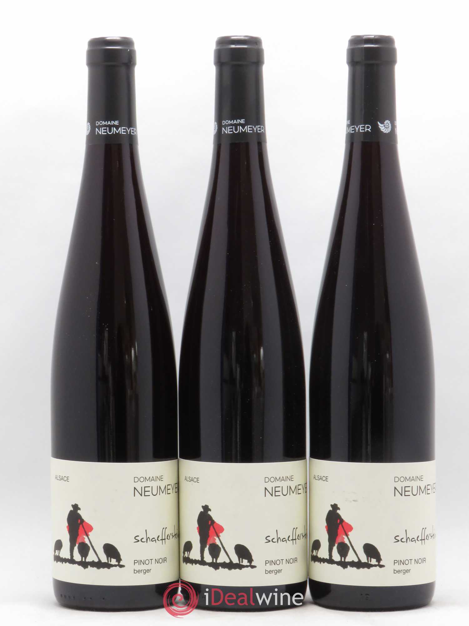 Pinot Noir Neumeyer Berger 2019 - Posten von 6 Flaschen - 1