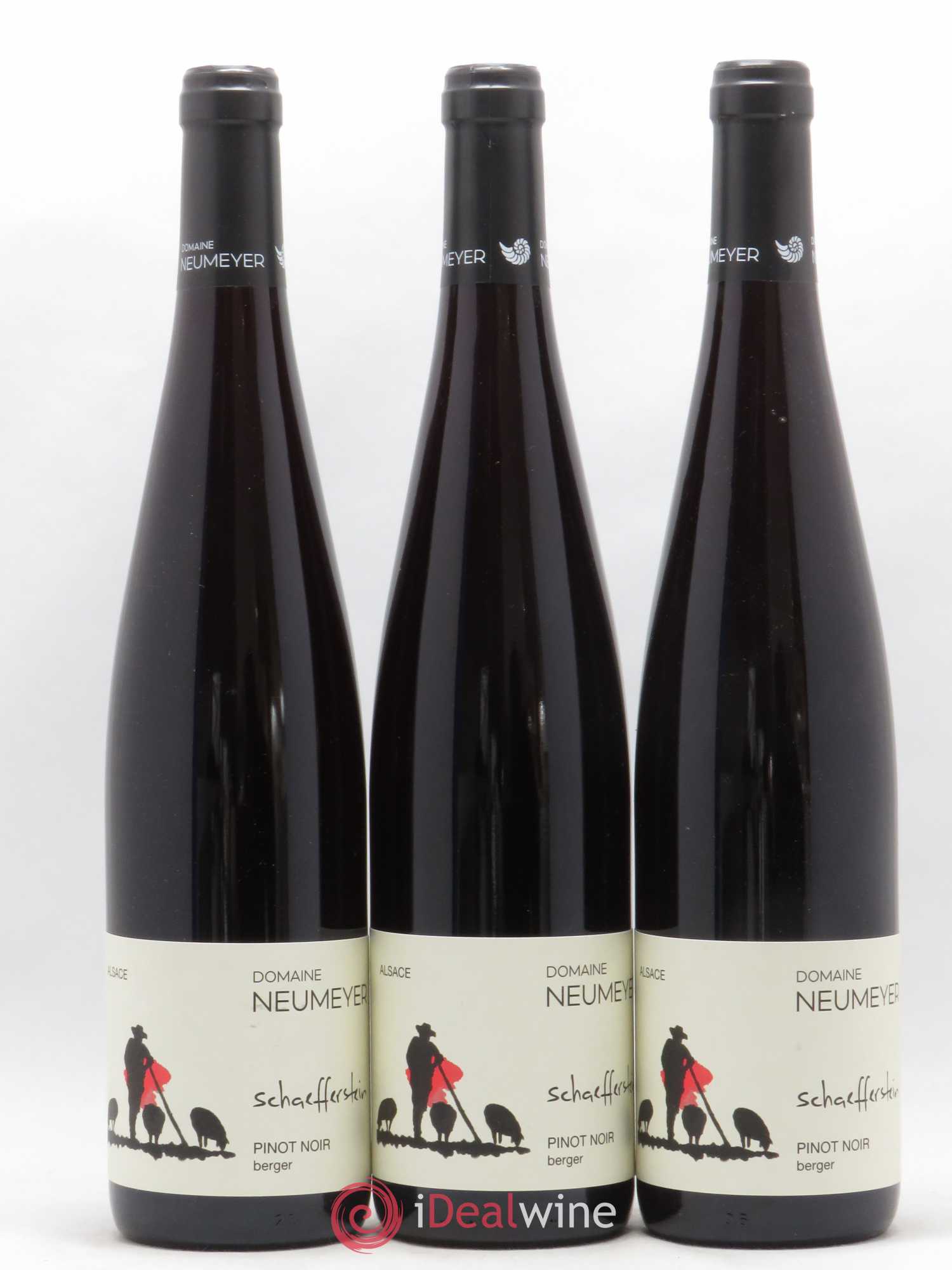 Pinot Noir Neumeyer Berger 2019 - Posten von 6 Flaschen - 3