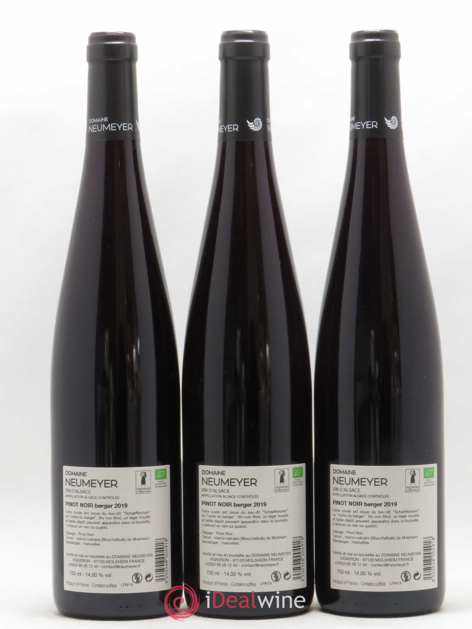Pinot Noir Neumeyer Berger 2019 - Posten von 6 Flaschen - 4