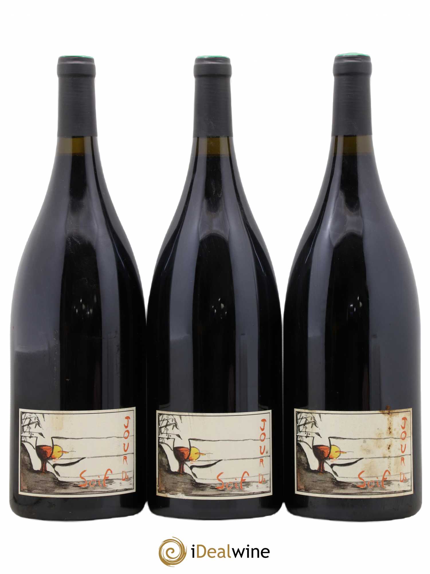 Bourgueil Jour de Soif Domaine du Bel Air 2021 - Lot de 3 magnums - 0