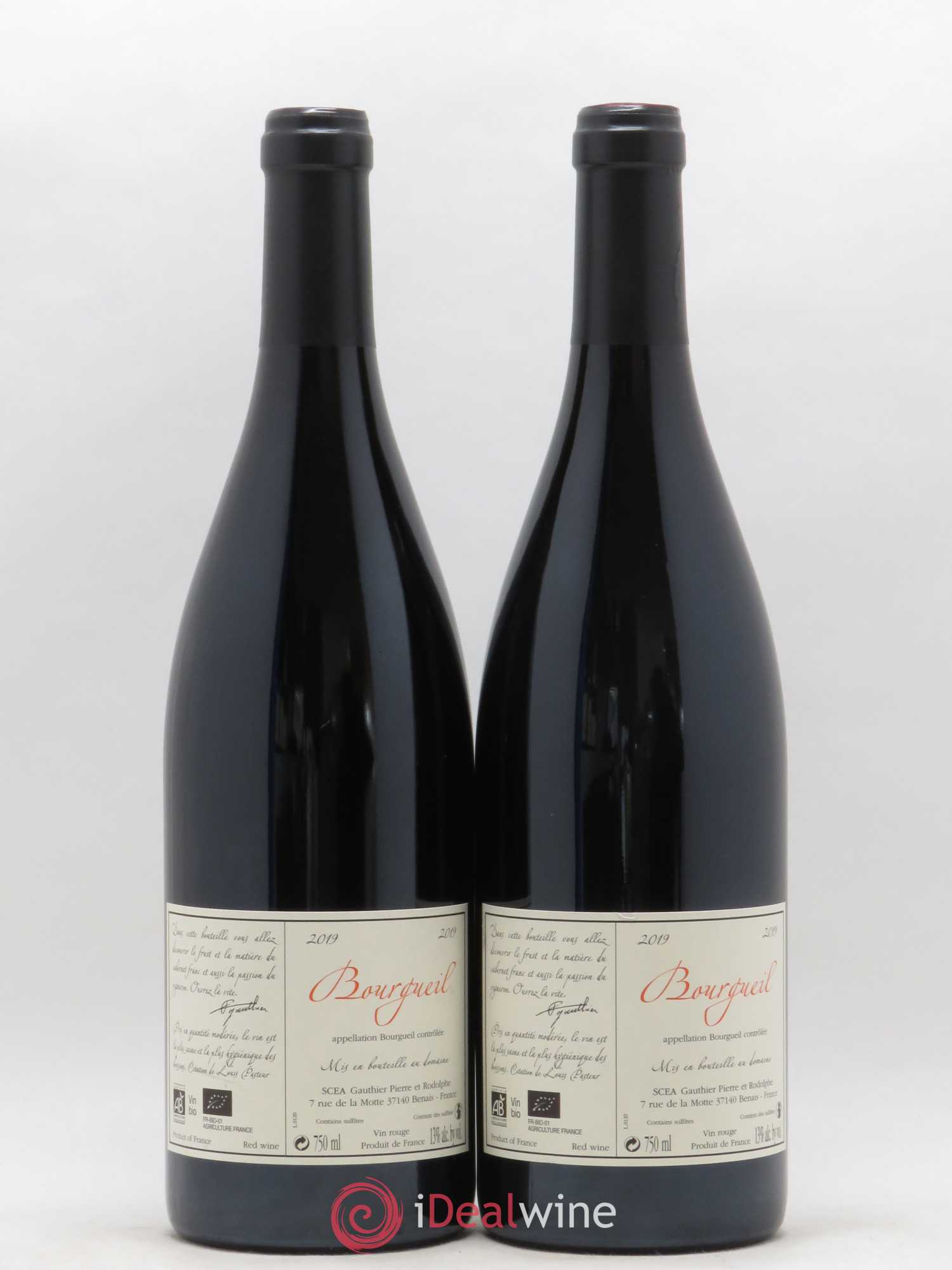 Bourgueil Jour de Soif Domaine du Bel Air 2019 - Lotto di 2 bottiglie - 1