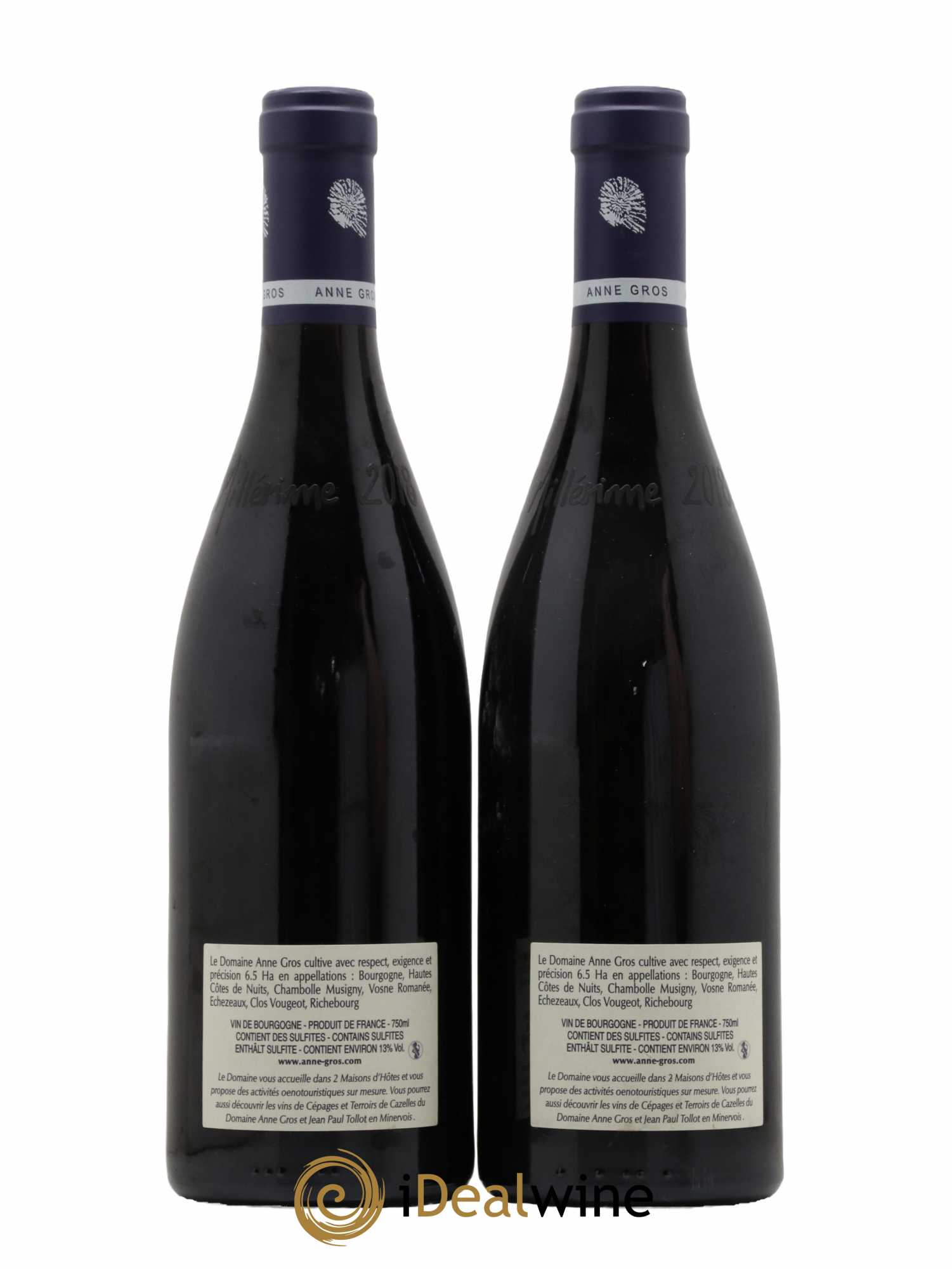 Richebourg Grand Cru Anne Gros 2018 - Posten von 2 Flaschen - 1