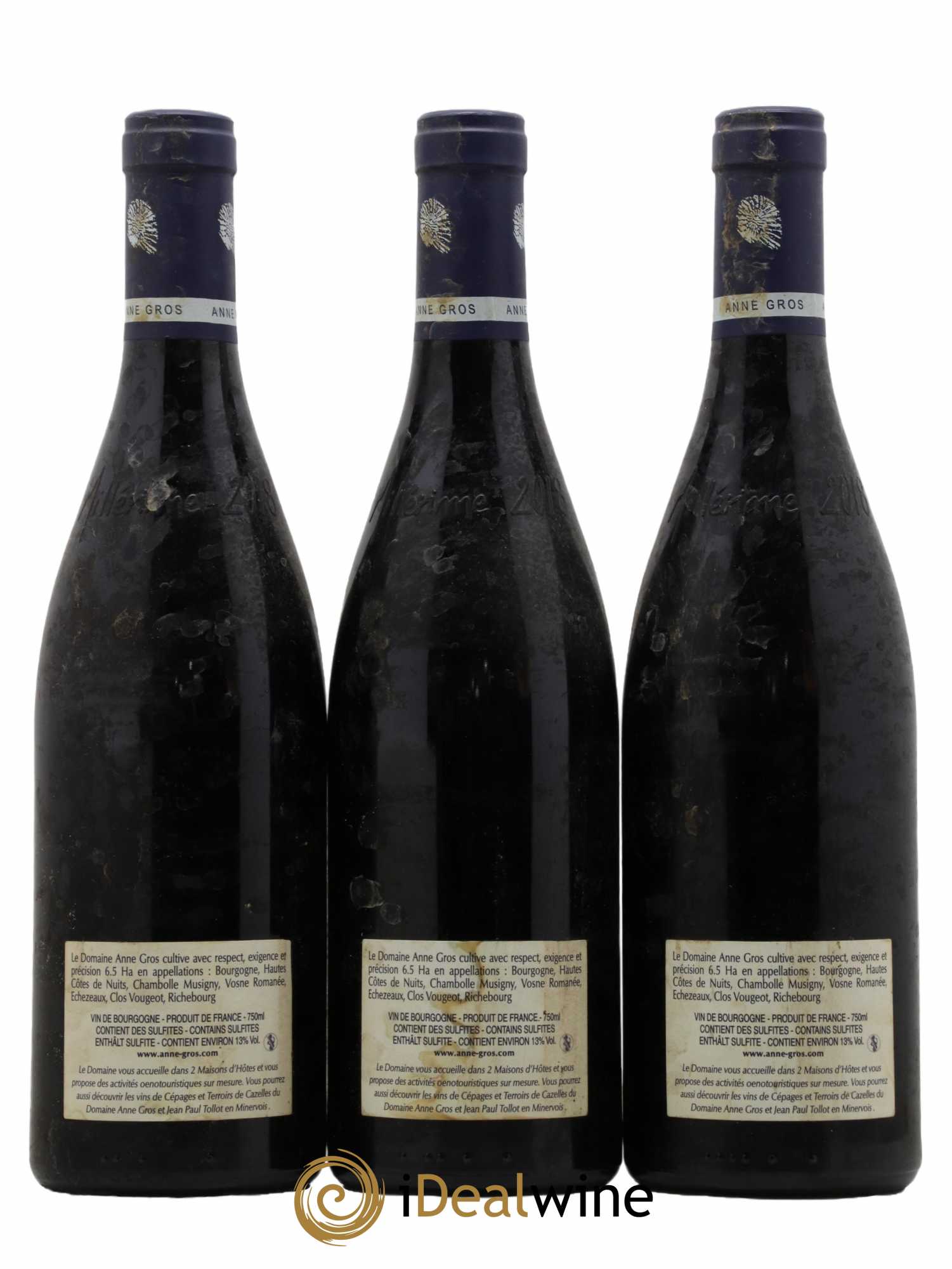 Clos de Vougeot Grand Cru Le Grand Maupertui Anne Gros 2018 - Lot de 3 bouteilles - 1