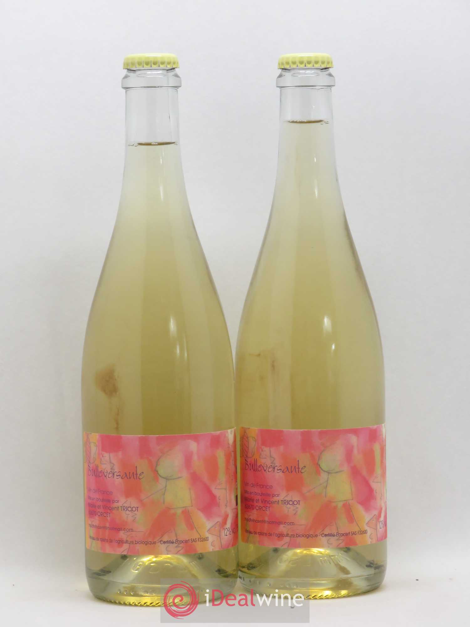 Vin de France Bulleversante Vincent et Marie Tricot 2019 - Posten von 2 Flaschen - 0