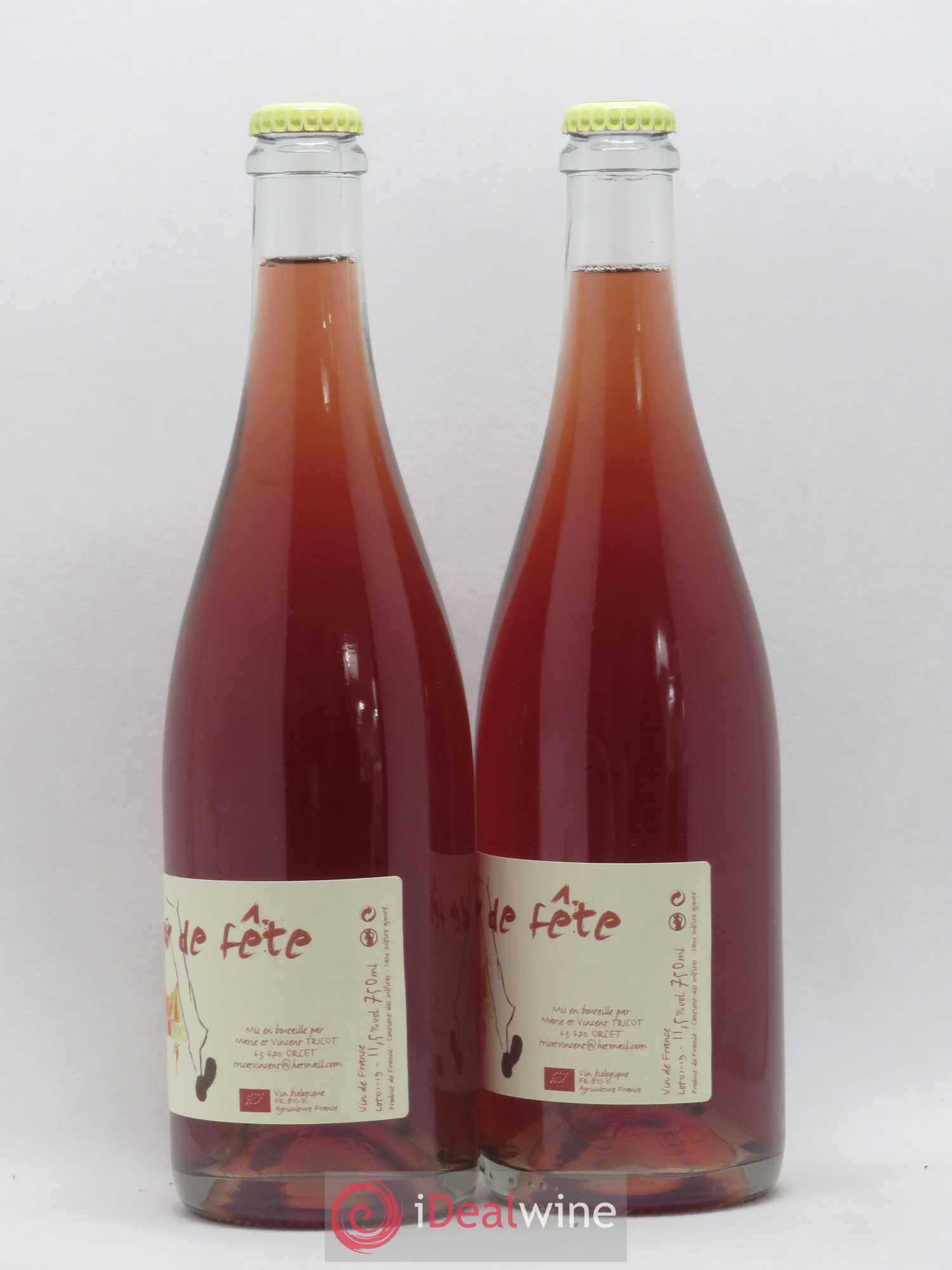 Vin de France Jour de Fête Vincent et Marie Tricot 2019 - Lot de 2 bouteilles - 1