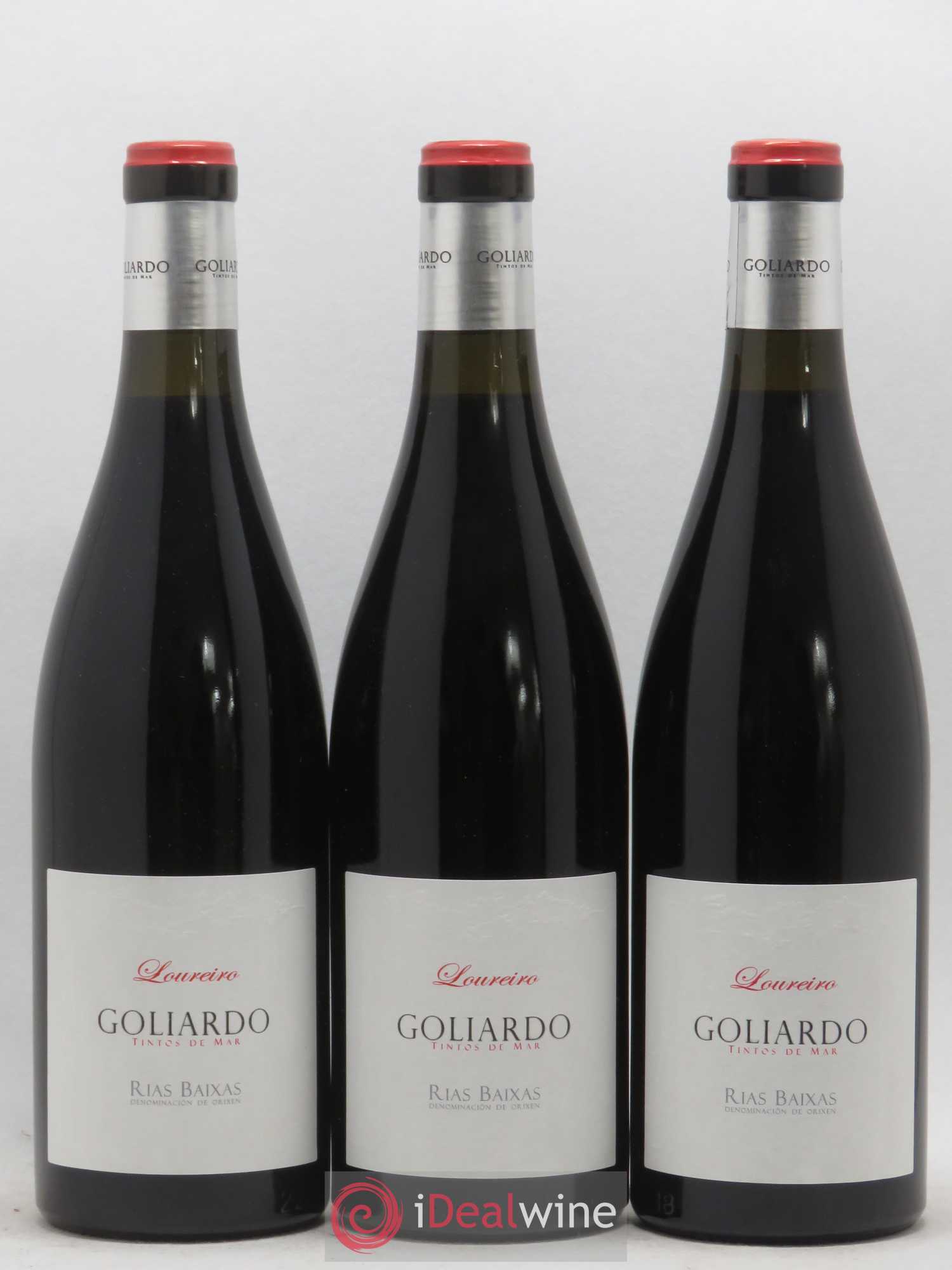 Espagne Rias Baixas Forjas Del Salnes Goliardo Loureiro 2014 - Posten von 6 Flaschen - 1