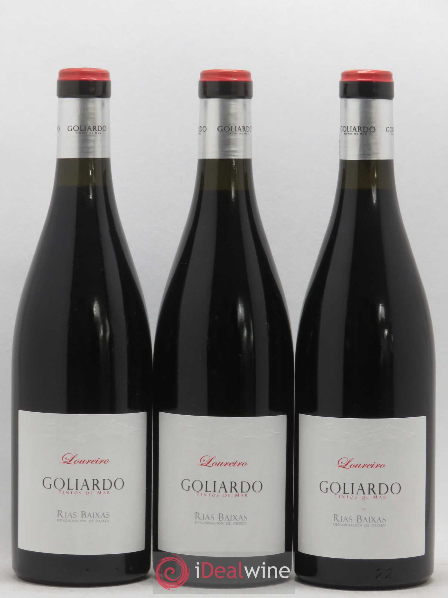 Espagne Rias Baixas Forjas Del Salnes Goliardo Loureiro 2014 - Posten von 6 Flaschen - 3
