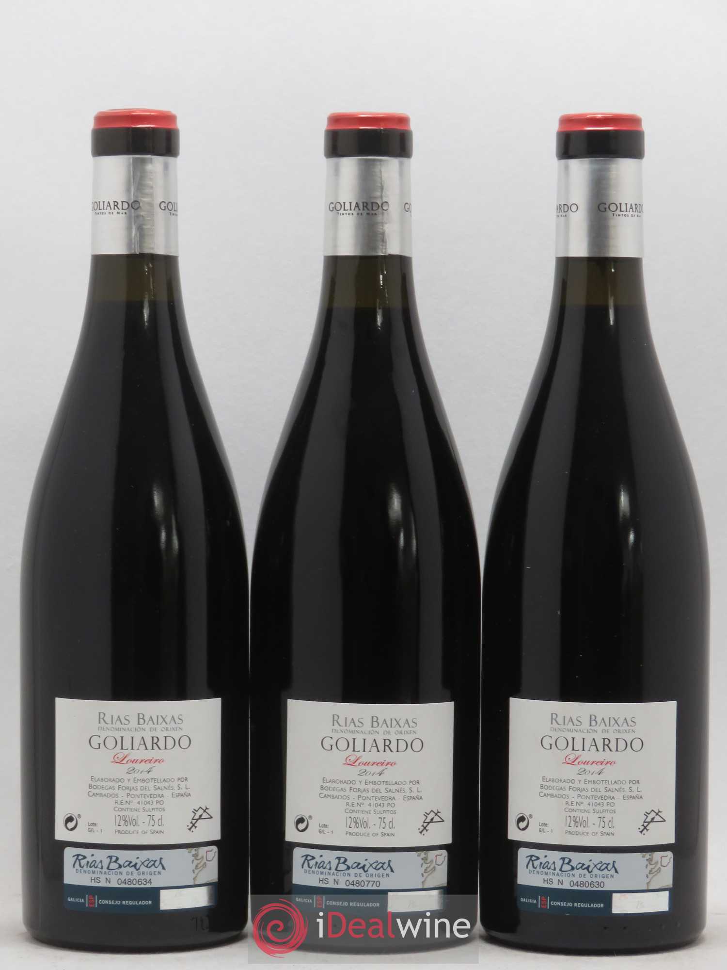 Espagne Rias Baixas Forjas Del Salnes Goliardo Loureiro 2014 - Posten von 6 Flaschen - 4