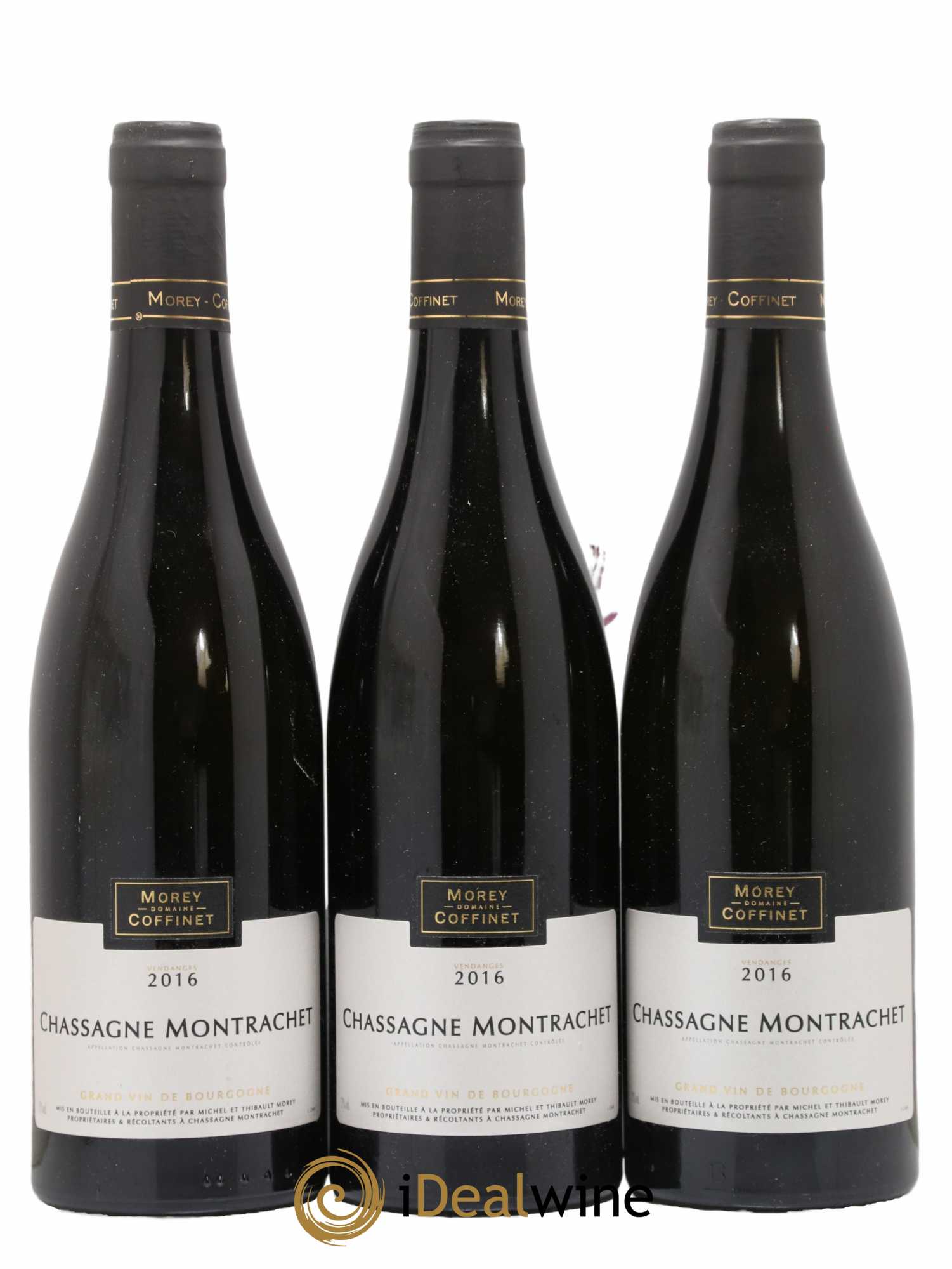 Chassagne-Montrachet Morey-Coffinet (Domaine) 2016 - Lot de 3 bouteilles - 0