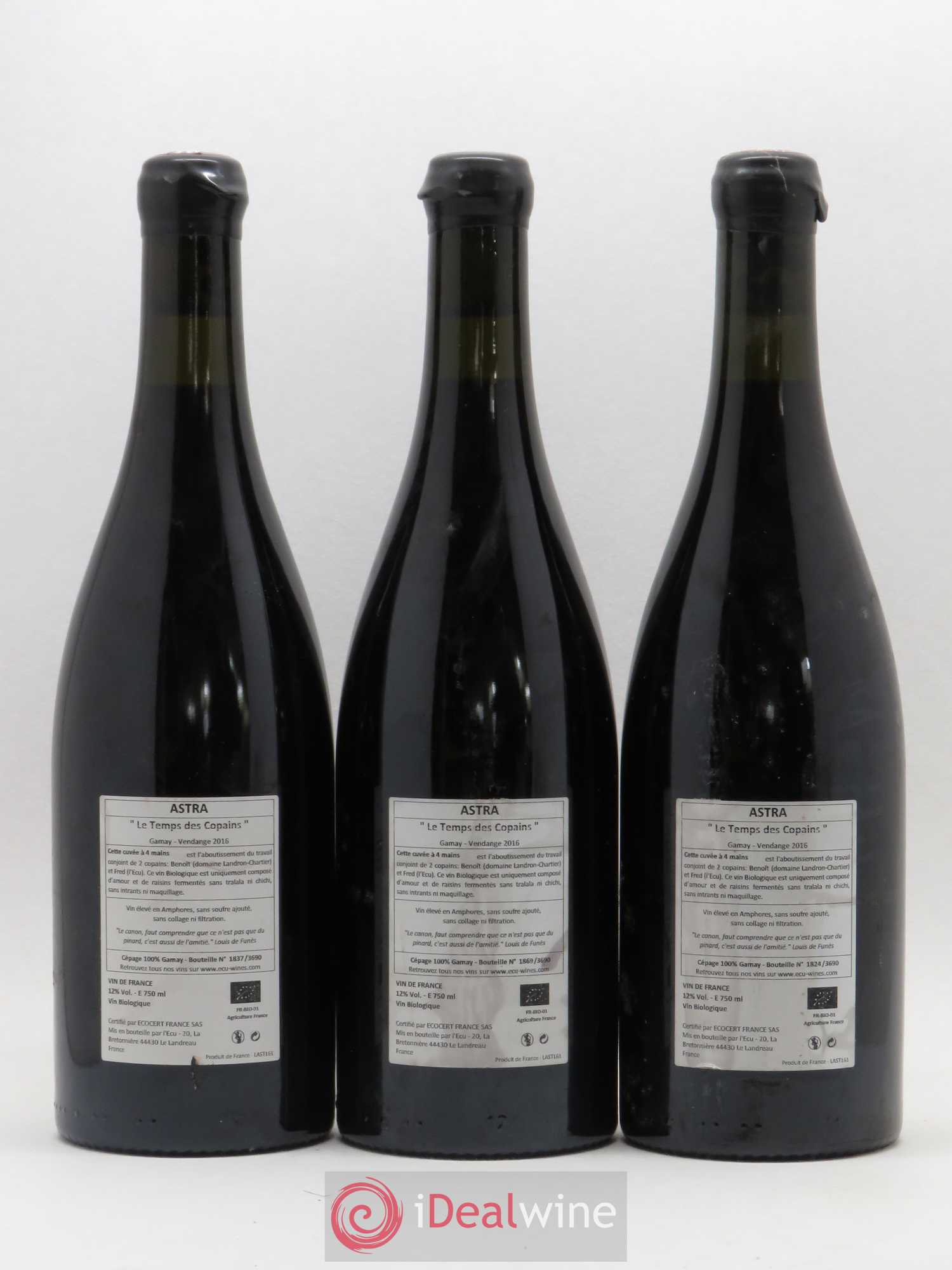 Vin de France Astra Le Temps des Copains Domaine De L'écu 2016 - Posten von 3 Flaschen - 1