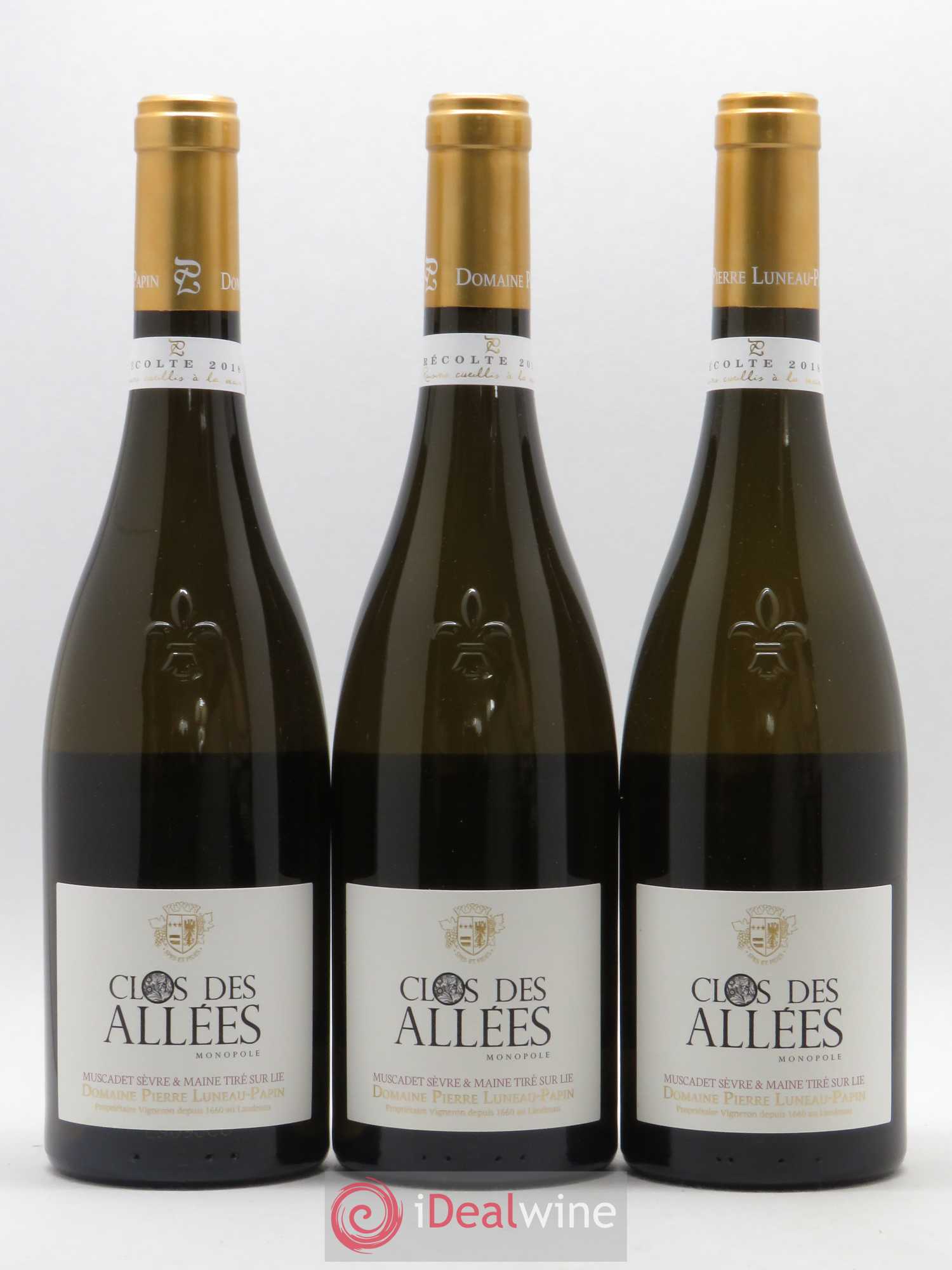 Muscadet-Sèvre-et-Maine sur lie Clos des Allées Luneau-Papin 2018 - Posten von 6 Flaschen - 1