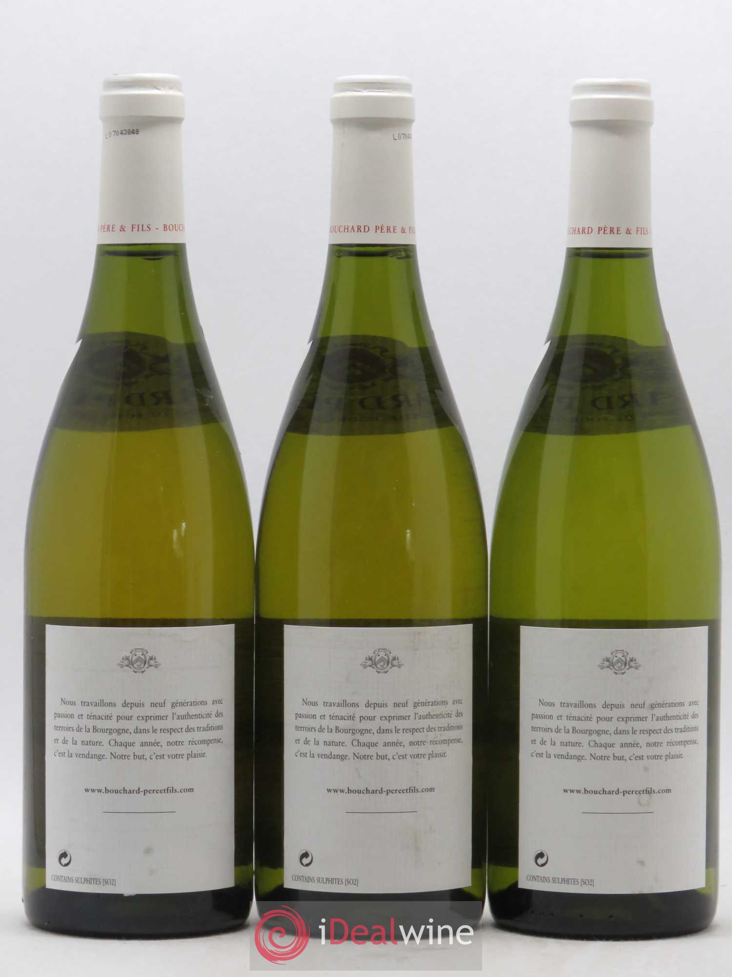 Chevalier-Montrachet Grand Cru Bouchard Père & Fils 2005 - Lot de 3 bouteilles - 1