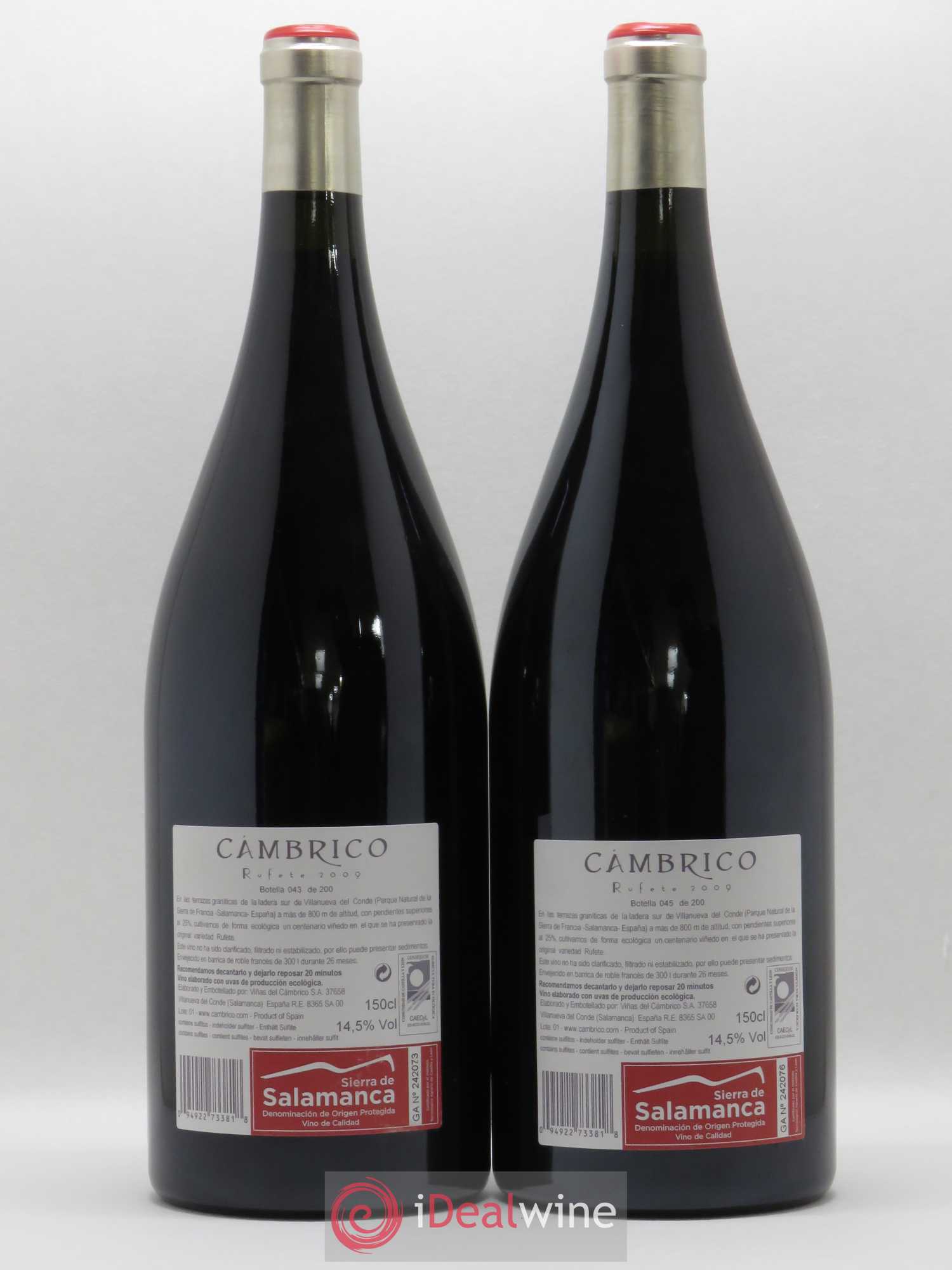 Espagne Vinas del Cambrico Rufete Vino de Calidad de Sierra de Salamanca (sans prix de réserve) 2009 - Posten von 2 Magnum - 1