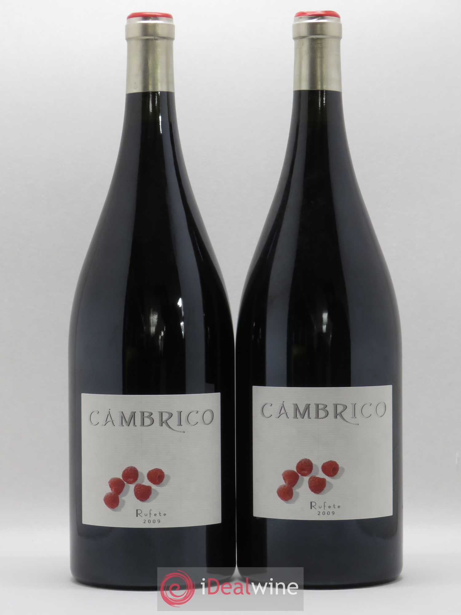 Espagne Vinas del Cambrico Rufete Vino de Calidad de Sierra de Salamanca (sans prix de réserve) 2009 - Posten von 2 Magnum - 0