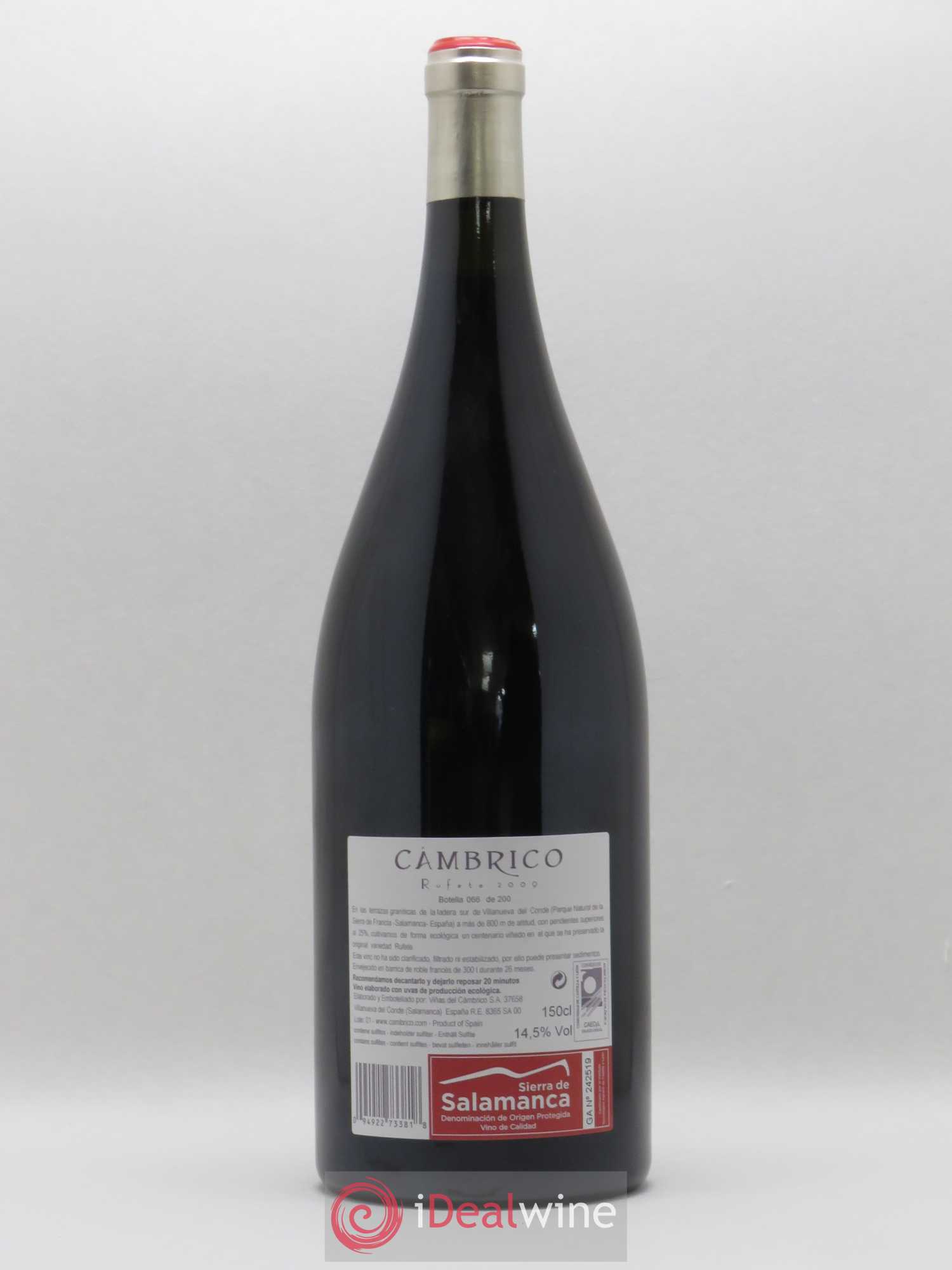 Espagne Vinas del Cambrico Rufete Vino de Calidad de Sierra de Salamanca (sans prix de réserve) 2009 - Posten von 1 Magnum - 1