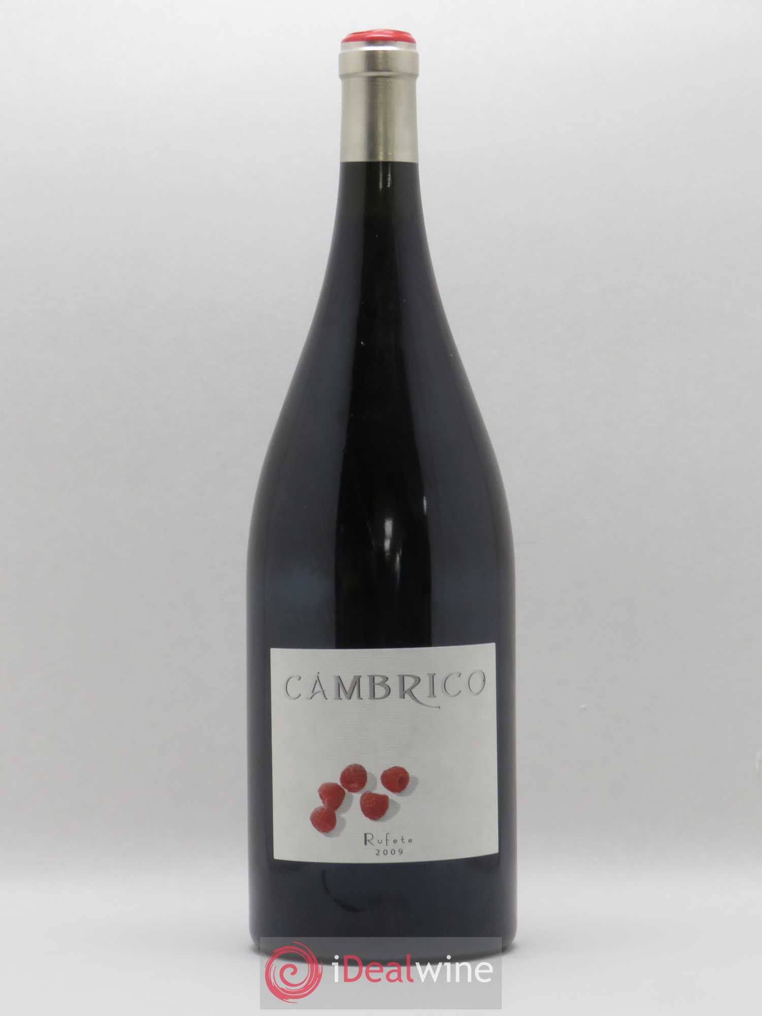 Espagne Vinas del Cambrico Rufete Vino de Calidad de Sierra de Salamanca (sans prix de réserve) 2009 - Posten von 1 Magnum - 0