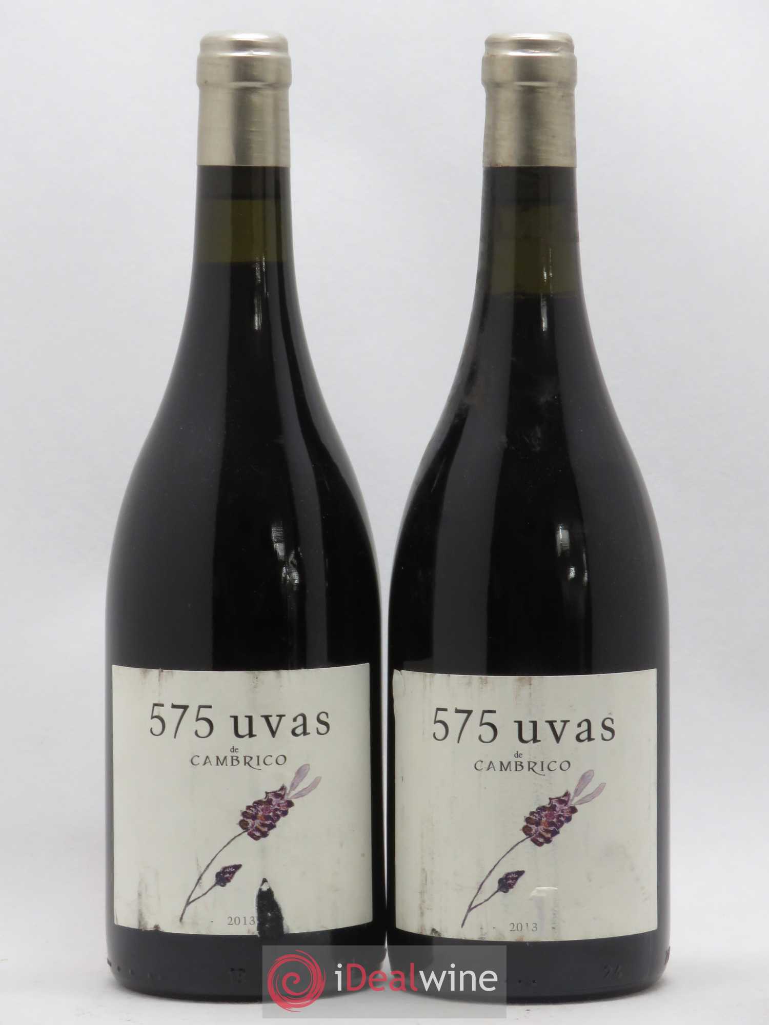 Espagne Cambrico 575 Uvas Salamanca (sans prix de réserve) 2013 - Posten von 2 Flaschen - 0