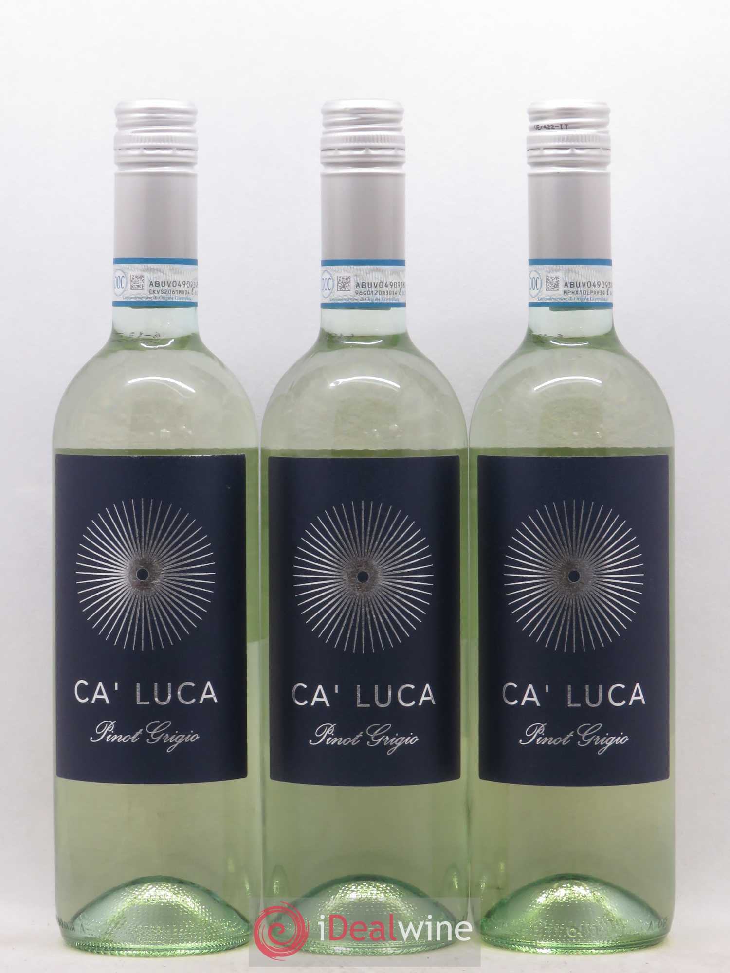 Italie Ca'Luca Pinot Grigio (sans prix de réserve) 2019 - Posten von 12 Flaschen - 1