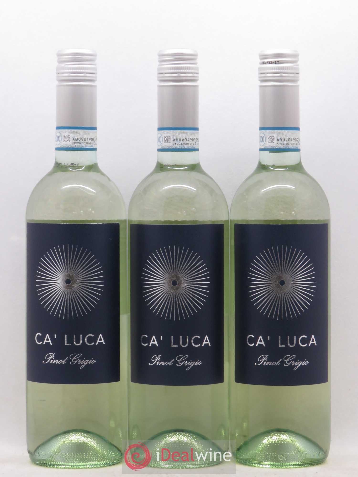 Italie Ca'Luca Pinot Grigio (sans prix de réserve) 2019 - Posten von 12 Flaschen - 3