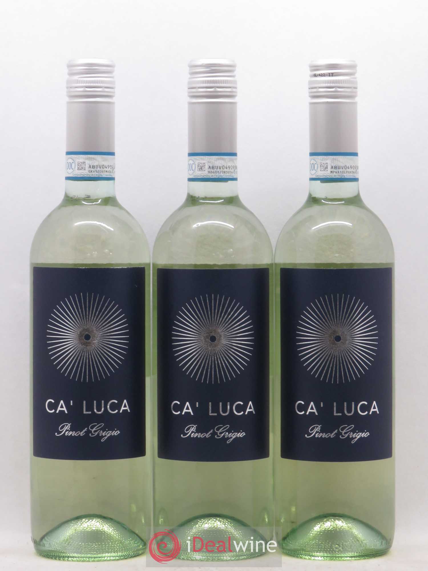 Italie Ca'Luca Pinot Grigio (sans prix de réserve) 2019 - Posten von 12 Flaschen - 5