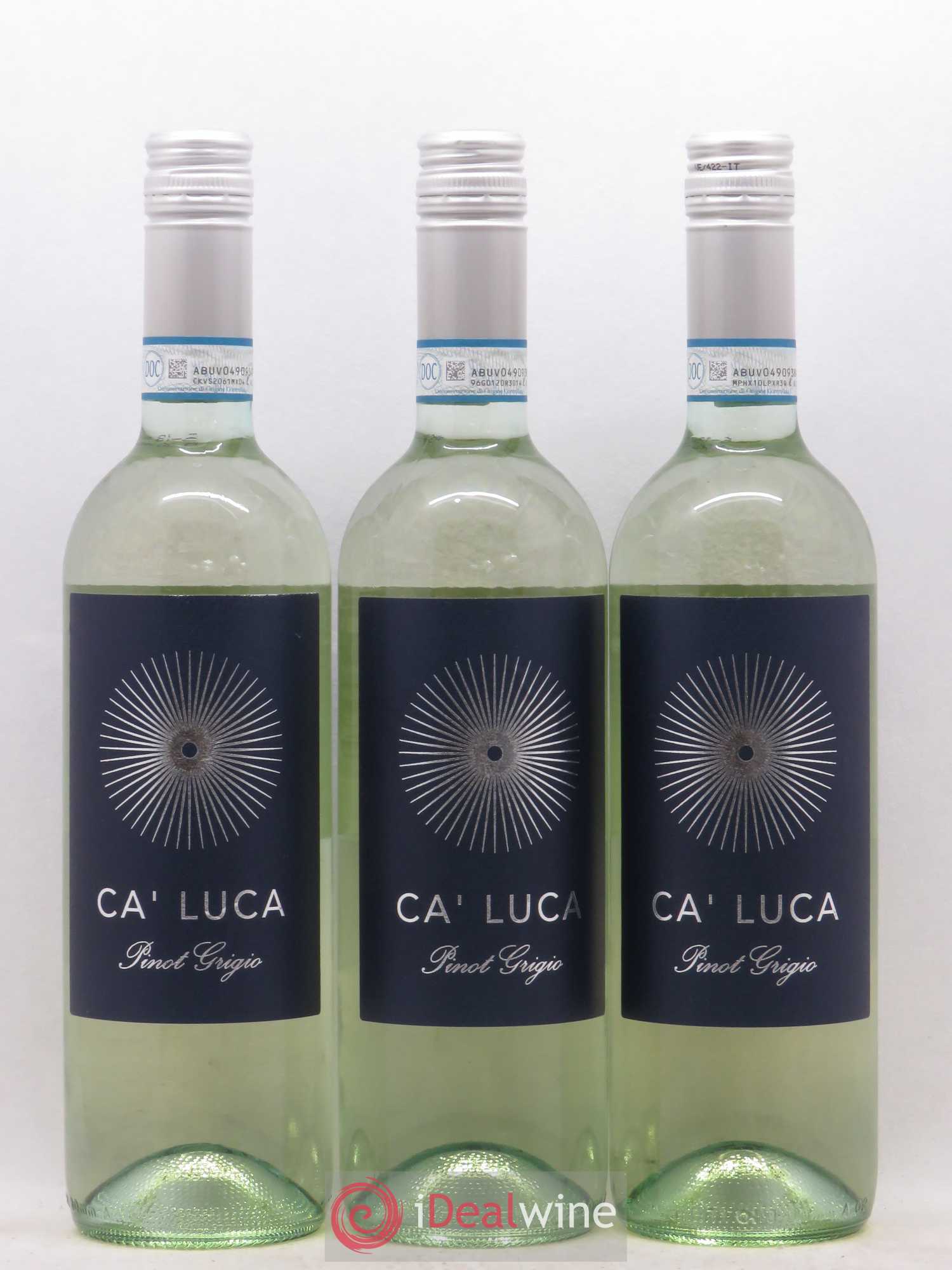 Italie Ca'Luca Pinot Grigio (sans prix de réserve) 2019 - Posten von 12 Flaschen - 7