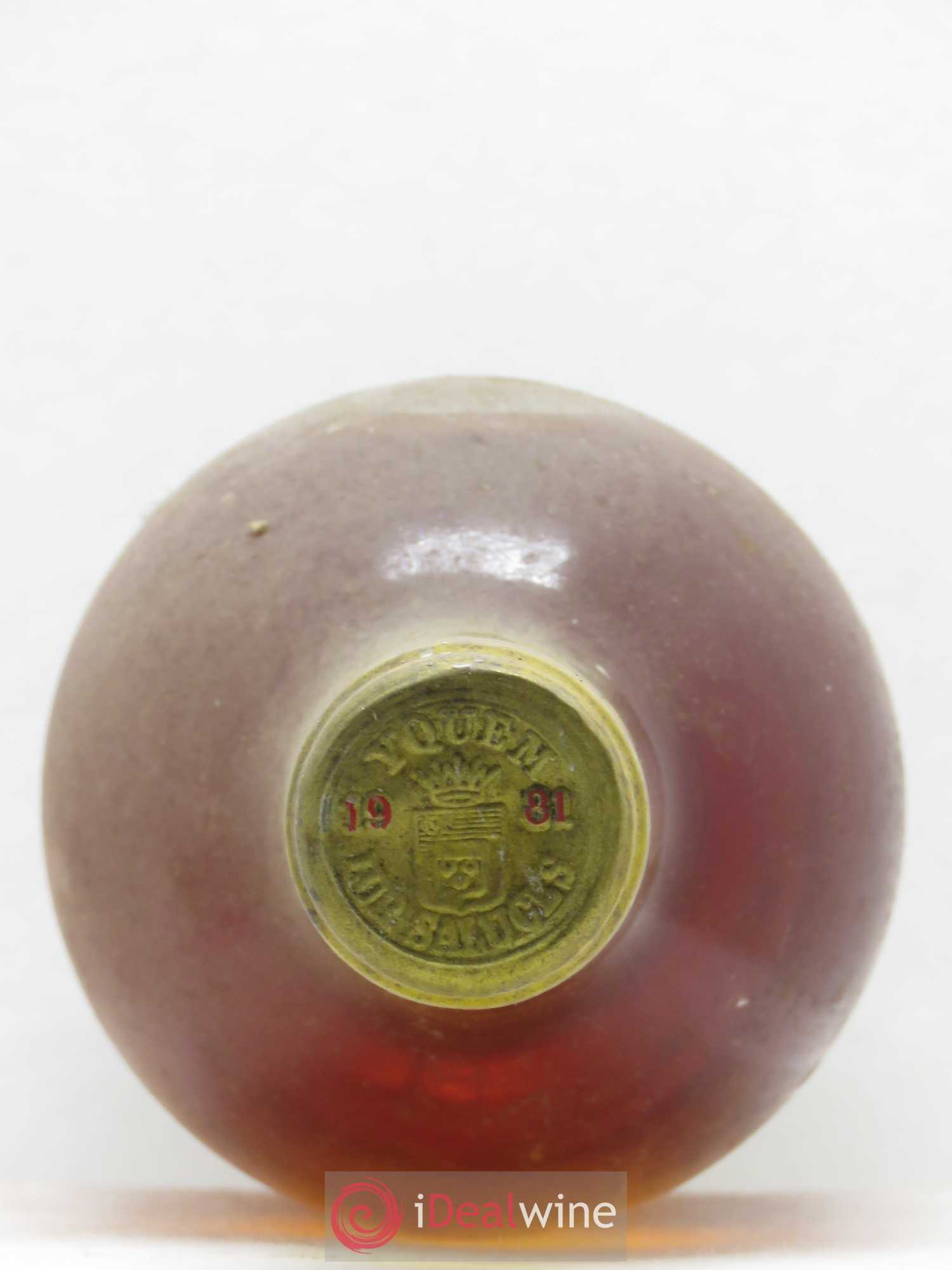 Château d' Yquem 1er Cru Classé Supérieur 1981 - Lotto di 2 bottiglie - 1