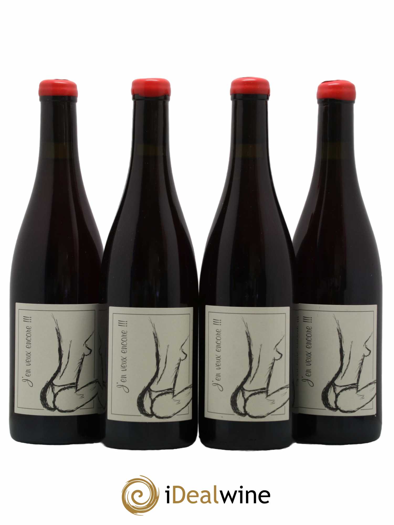 Vin de France J'en veux encore Anne et Jean François Ganevat 2021 - Lot de 4 bouteilles - 0