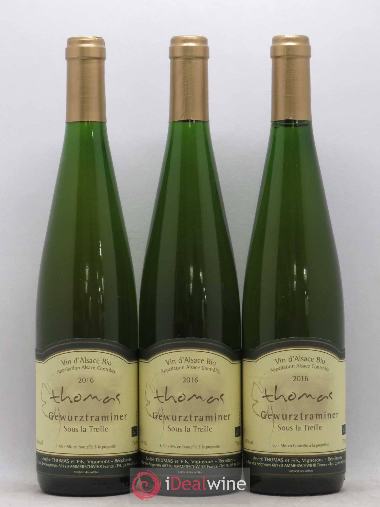Gewurztraminer Sous La Treille Andre Thomas (sans prix de réserve) 2016 - Posten von 6 Flaschen - 1