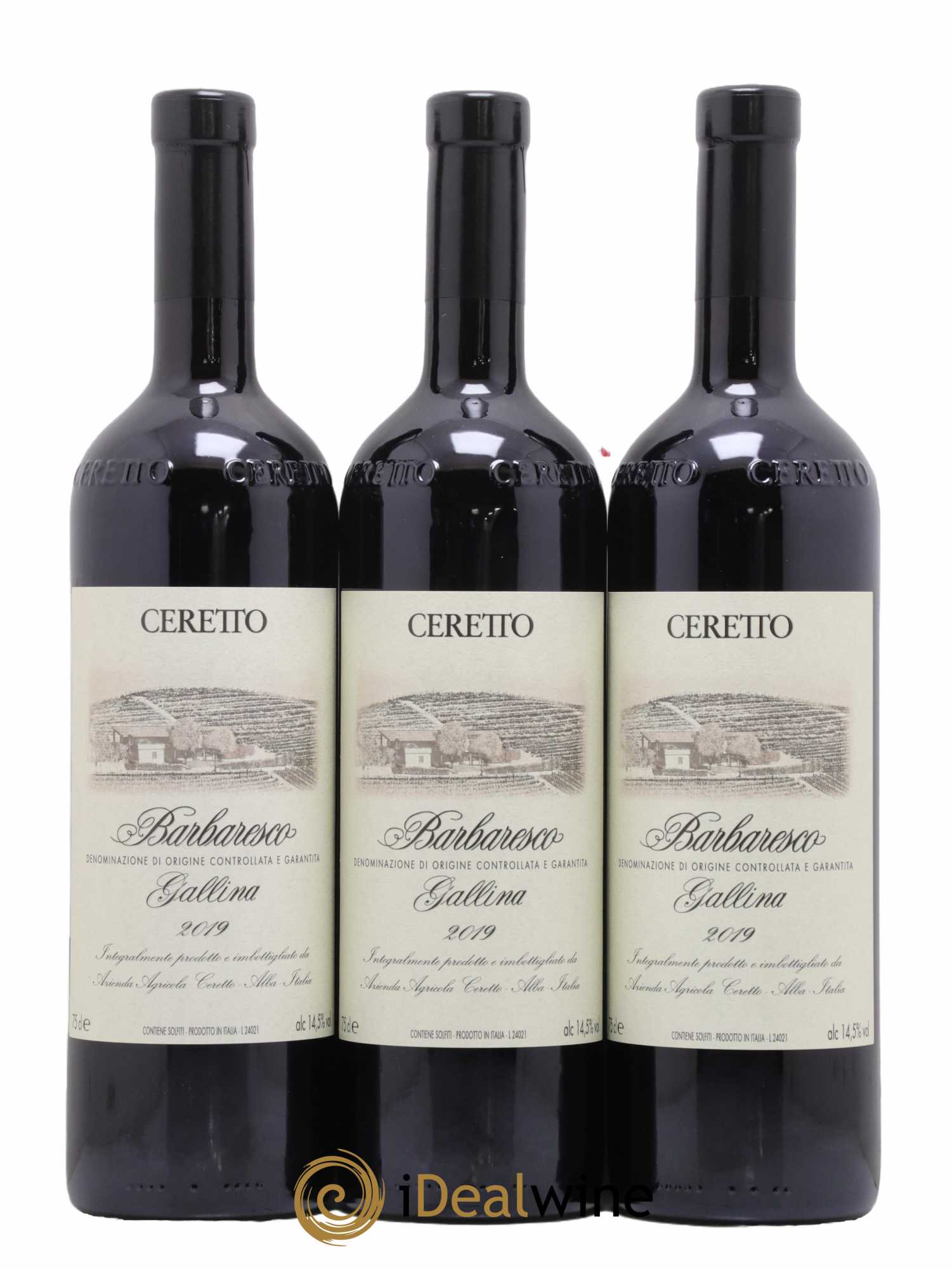 Barbaresco DOCG Gallina Ceretto 2019 - Lot de 6 bouteilles - 1