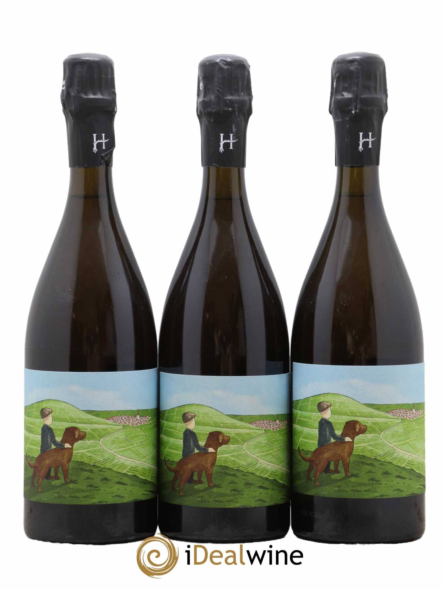 Gamin du Terroir Romain Henin - Lot de 3 bouteilles - 0