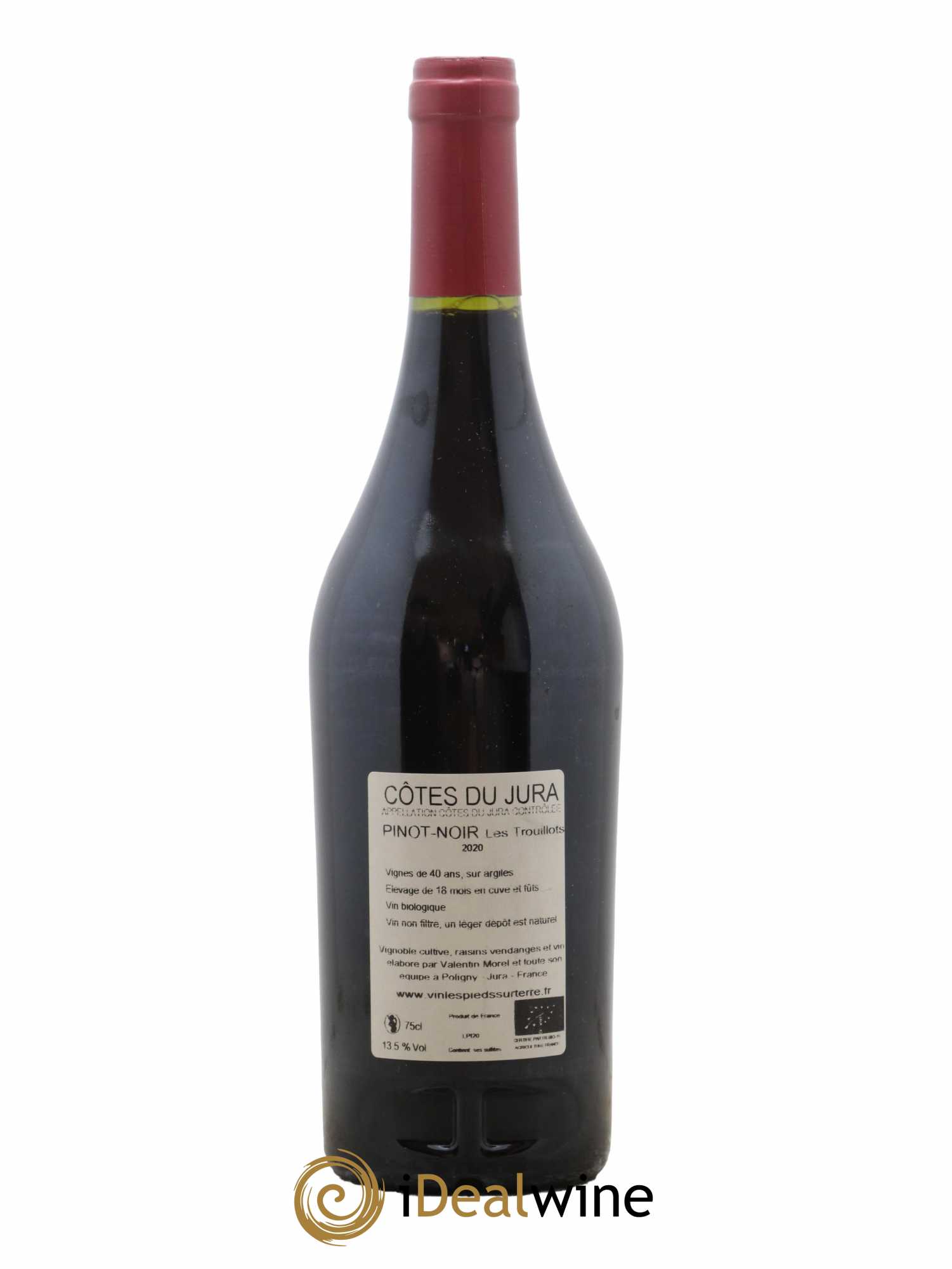 Côtes du Jura Les Trouillots Pinot Noir Valentin Morel 2020 - Lot of 1 bottle - 1