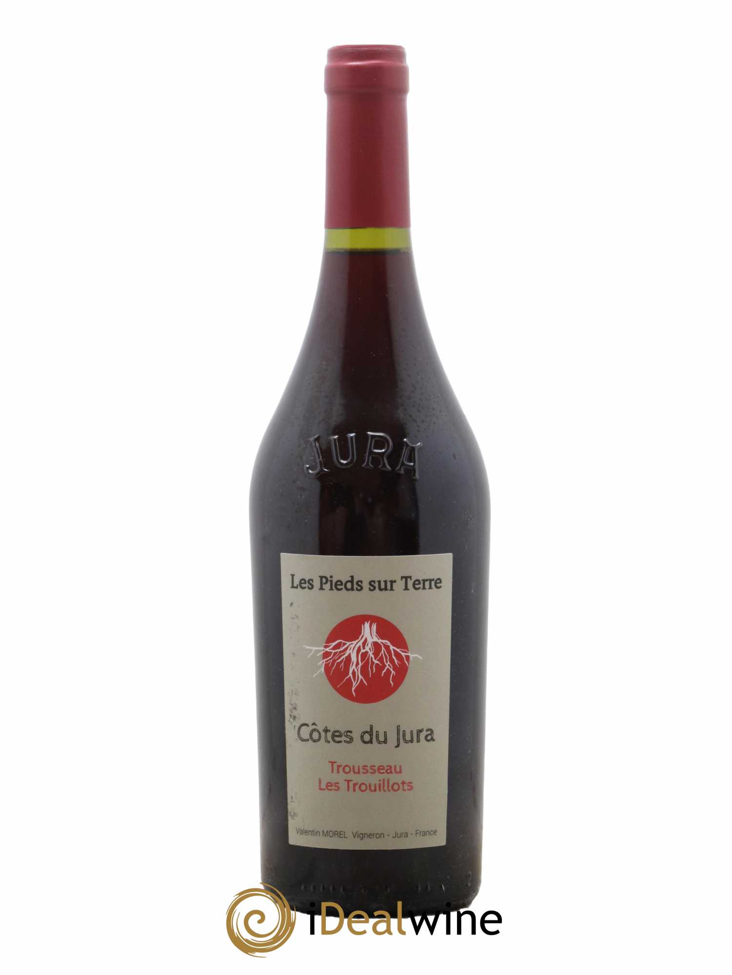 Côtes du Jura Les Trouillots Trousseau Valentin Morel 2021 - Lot de 1 bouteille - 0