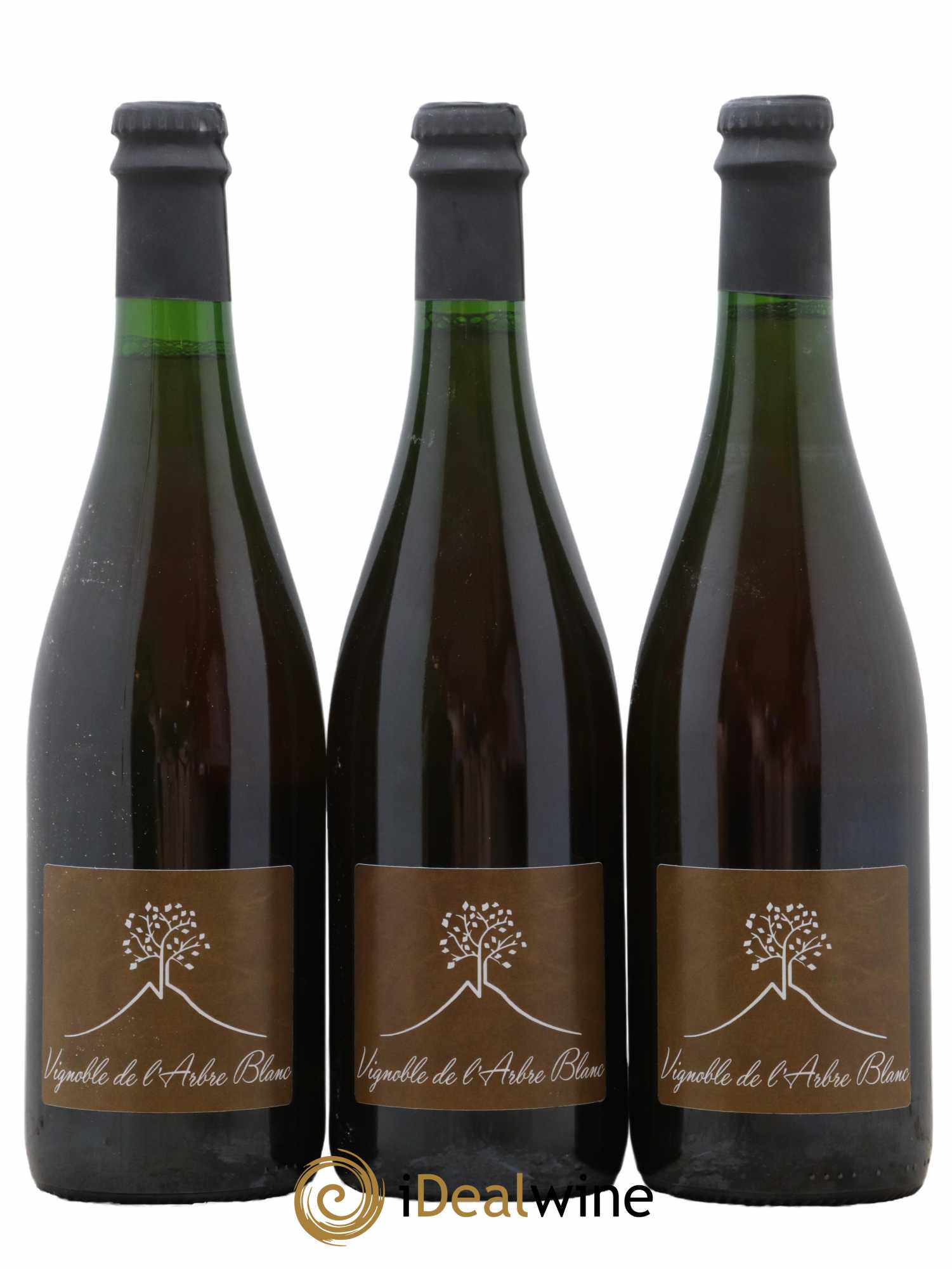 Vin de France Les Fesses Vignoble de l'Arbre Blanc 2019 - Lot de 3 bouteilles - 0