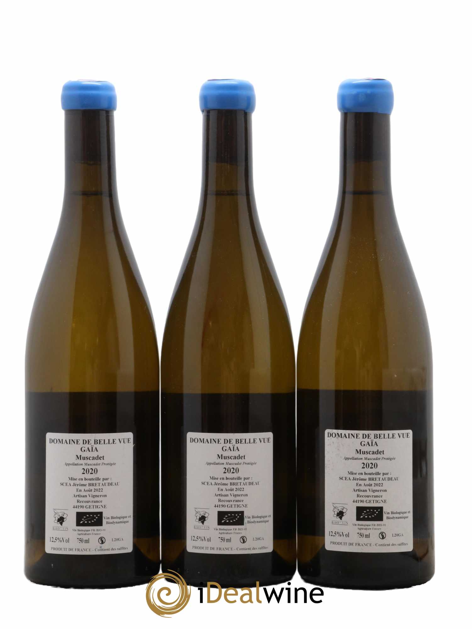 Muscadet-Sèvre-et-Maine Gaia Jérôme Bretaudeau - Domaine de Bellevue 2020 - Lot de 3 bouteilles - 1