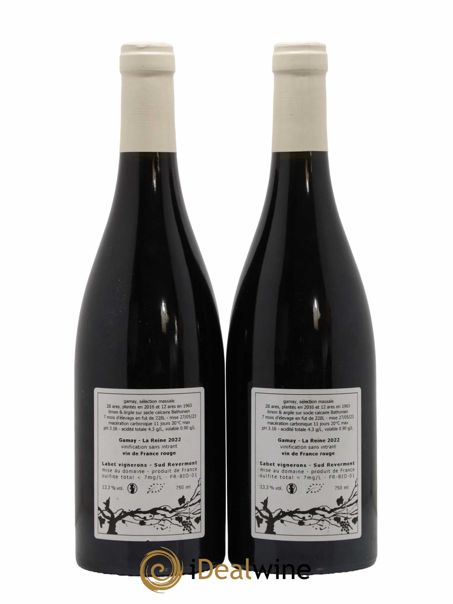 Vin de France Gamay La Reine Labet (Domaine) 2022 - Lot de 2 bouteilles - 1