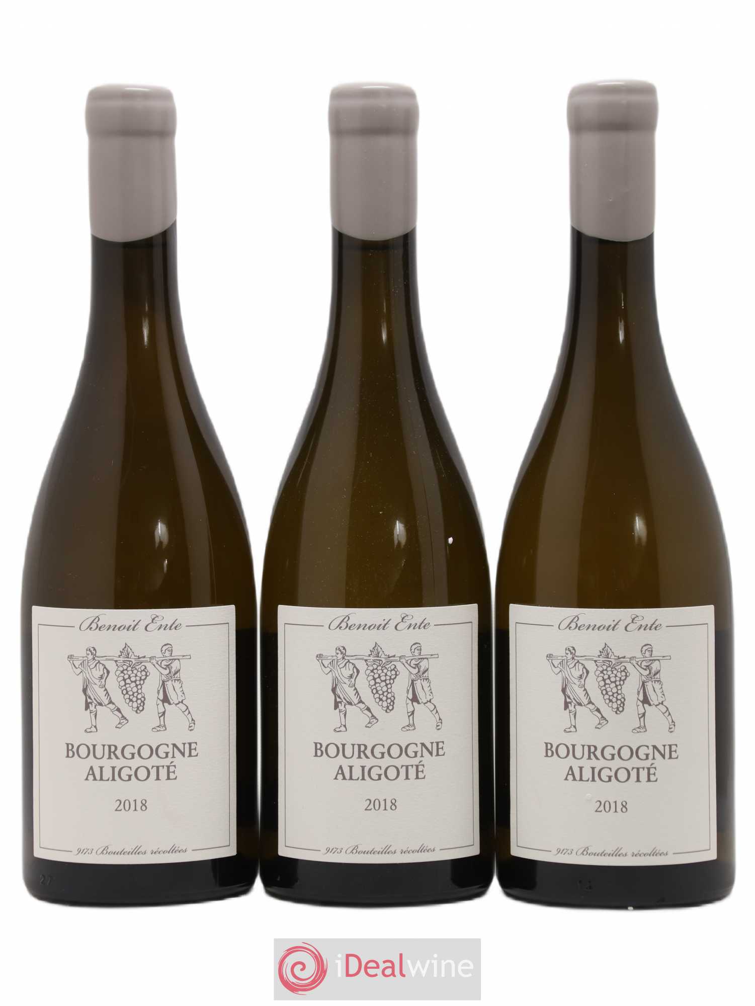 Bourgogne Aligoté Benoit Ente 2018 - Lot de 3 bouteilles - 0