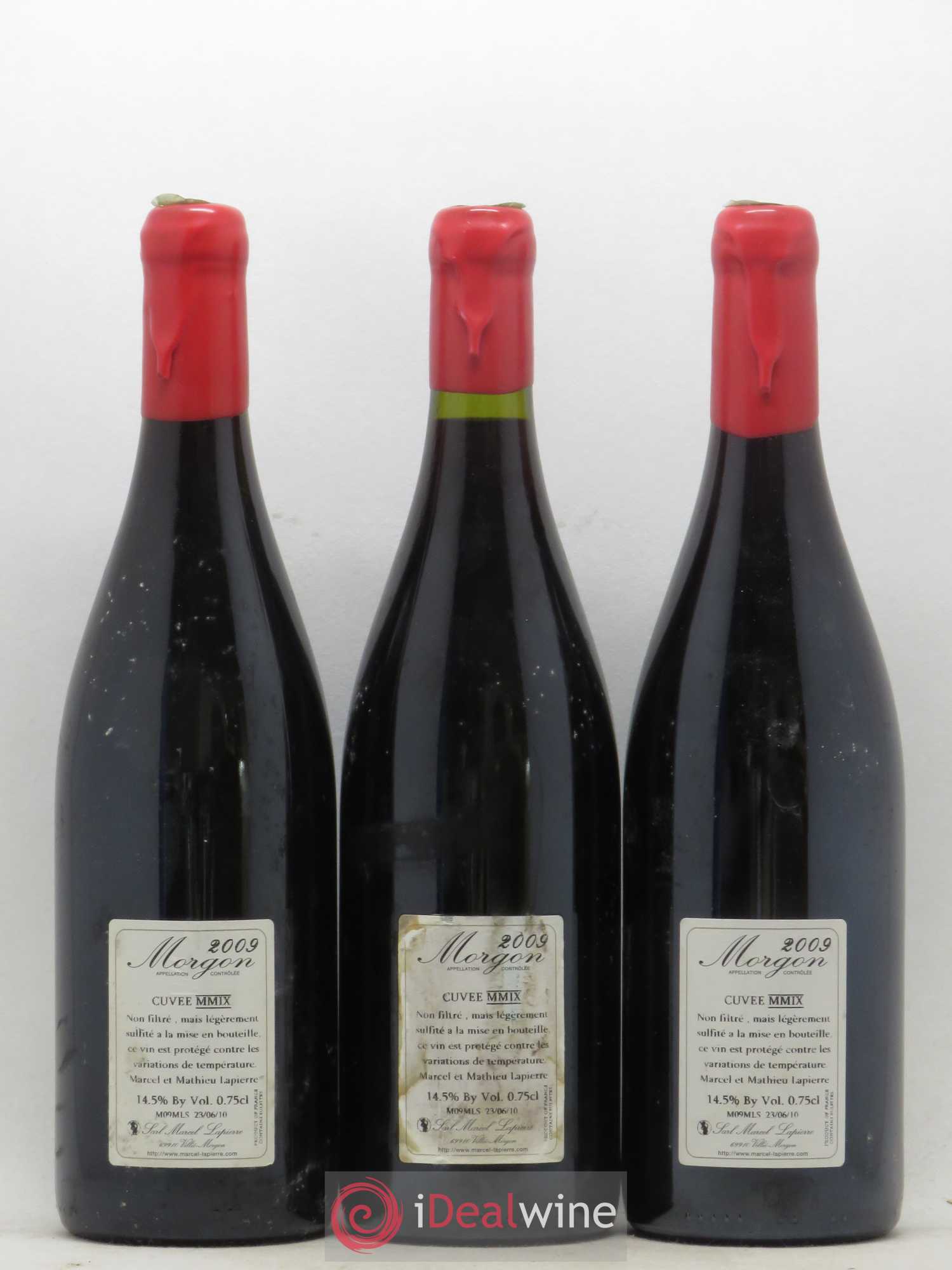 Morgon Cuvée Marcel Lapierre Marcel Lapierre (Domaine) 2009 - Lot de 3 bouteilles - 1