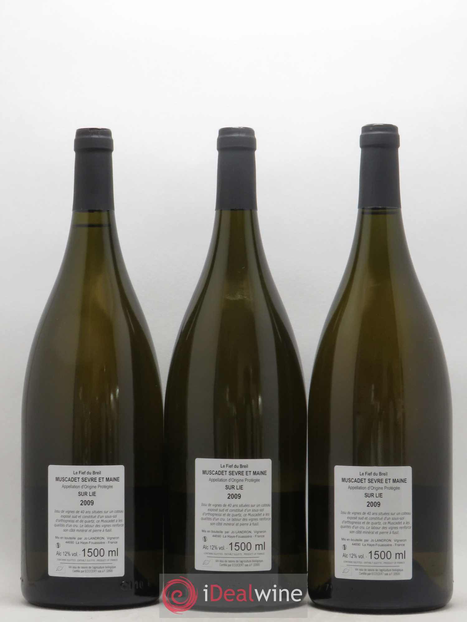 Muscadet-Sèvre-et-Maine Le Fief du Breil Jo Landron  (sans prix de réserve) 2009 - Lot de 3 magnums - 1