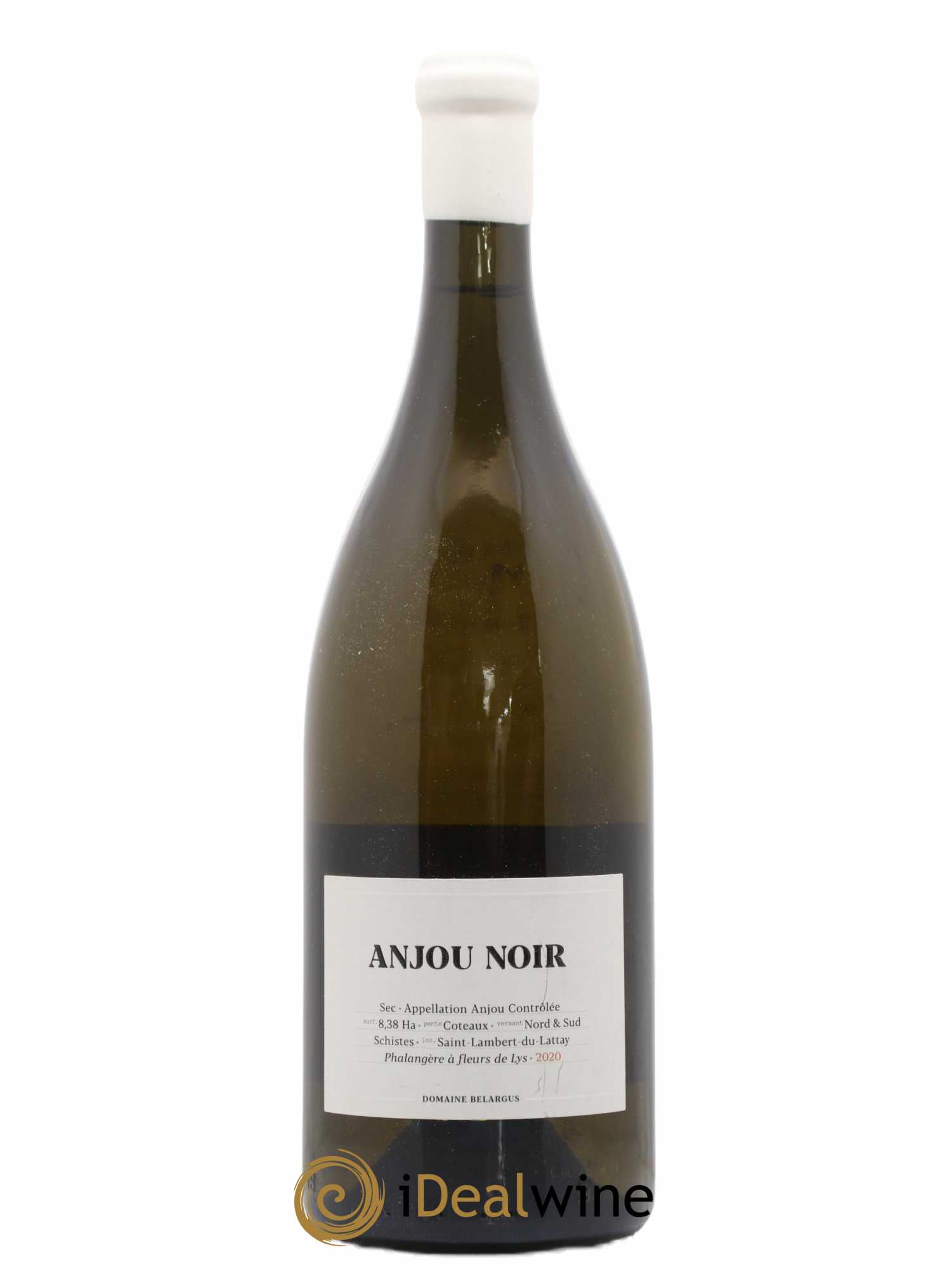 Anjou Noir Belargus (sans prix de réserve) 2020 - Lot de 1 magnum - 0