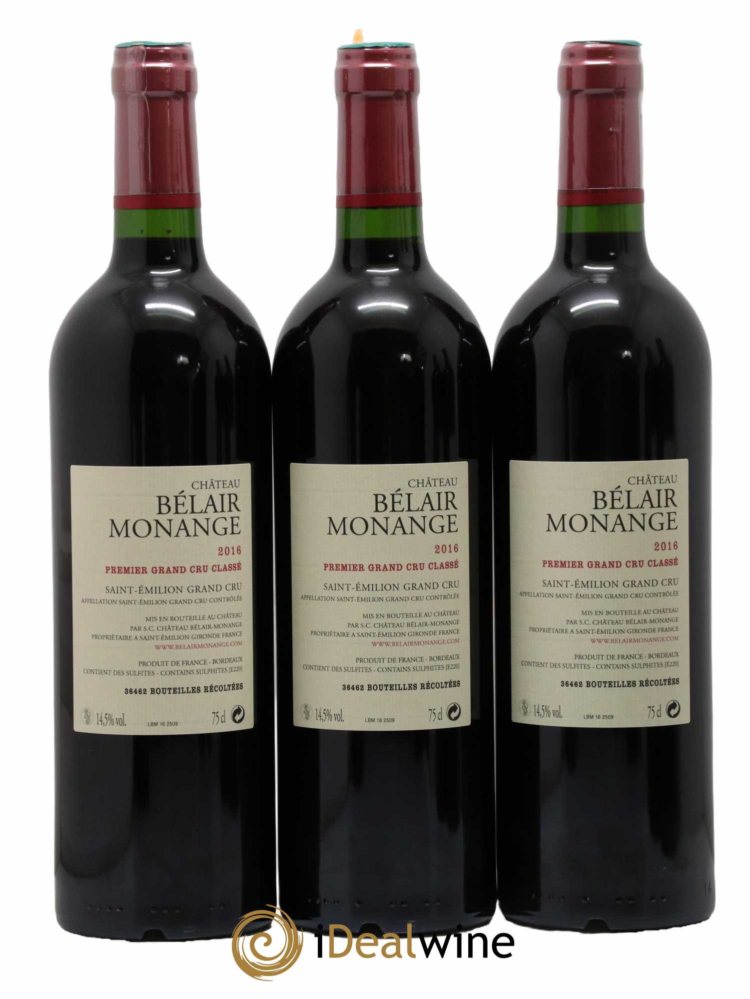 Château Belair (Belair-Monange) 1er Grand Cru Classé B 2016 - Lotto di 6 bottiglie - 2