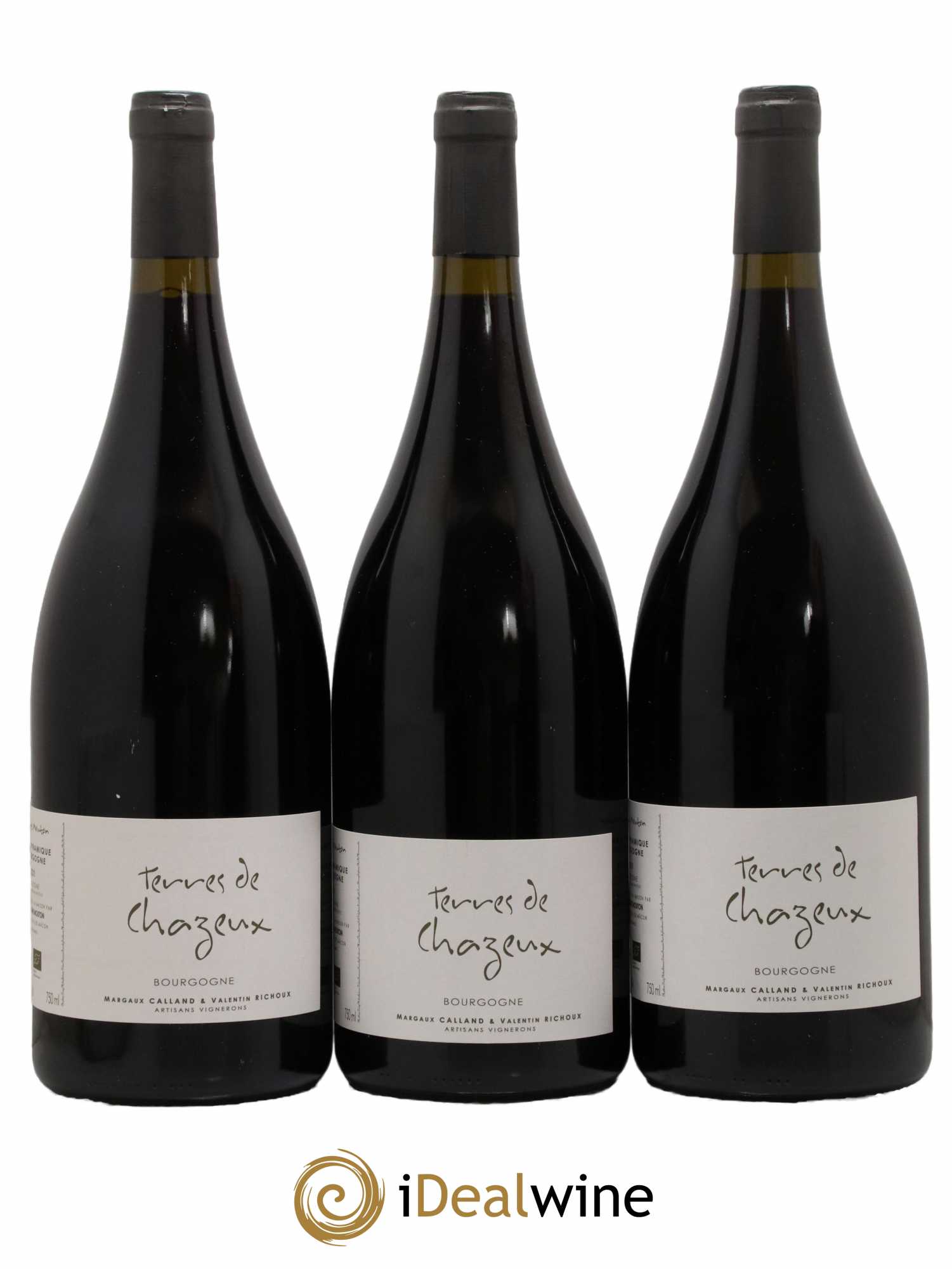 Bourgogne Terres de Chazeux La Vigne Mouton 2021 - Lot de 3 magnums - 0