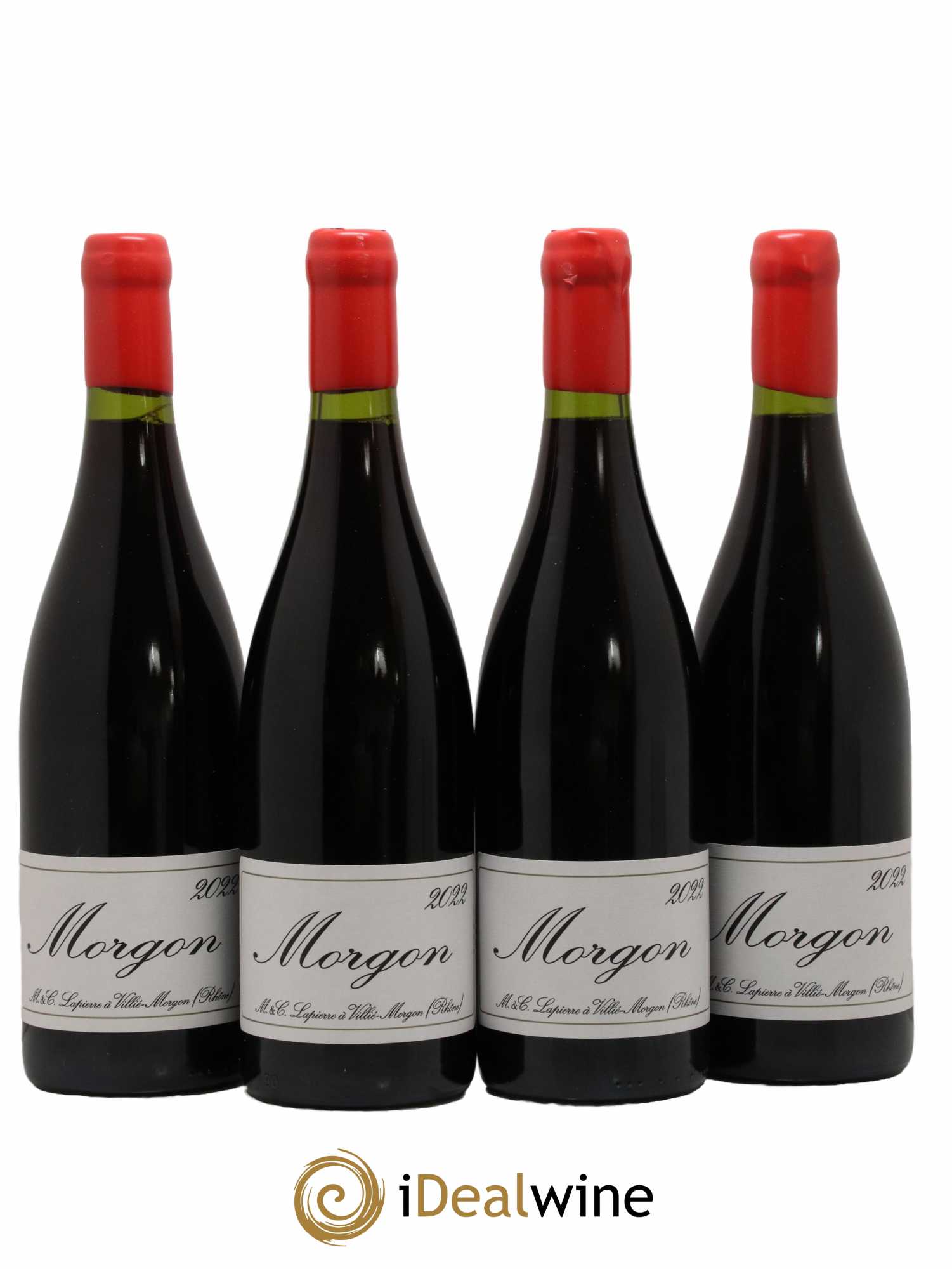 Morgon Marcel Lapierre (Domaine) 2022 - Lotto di 4 bottiglie - 0