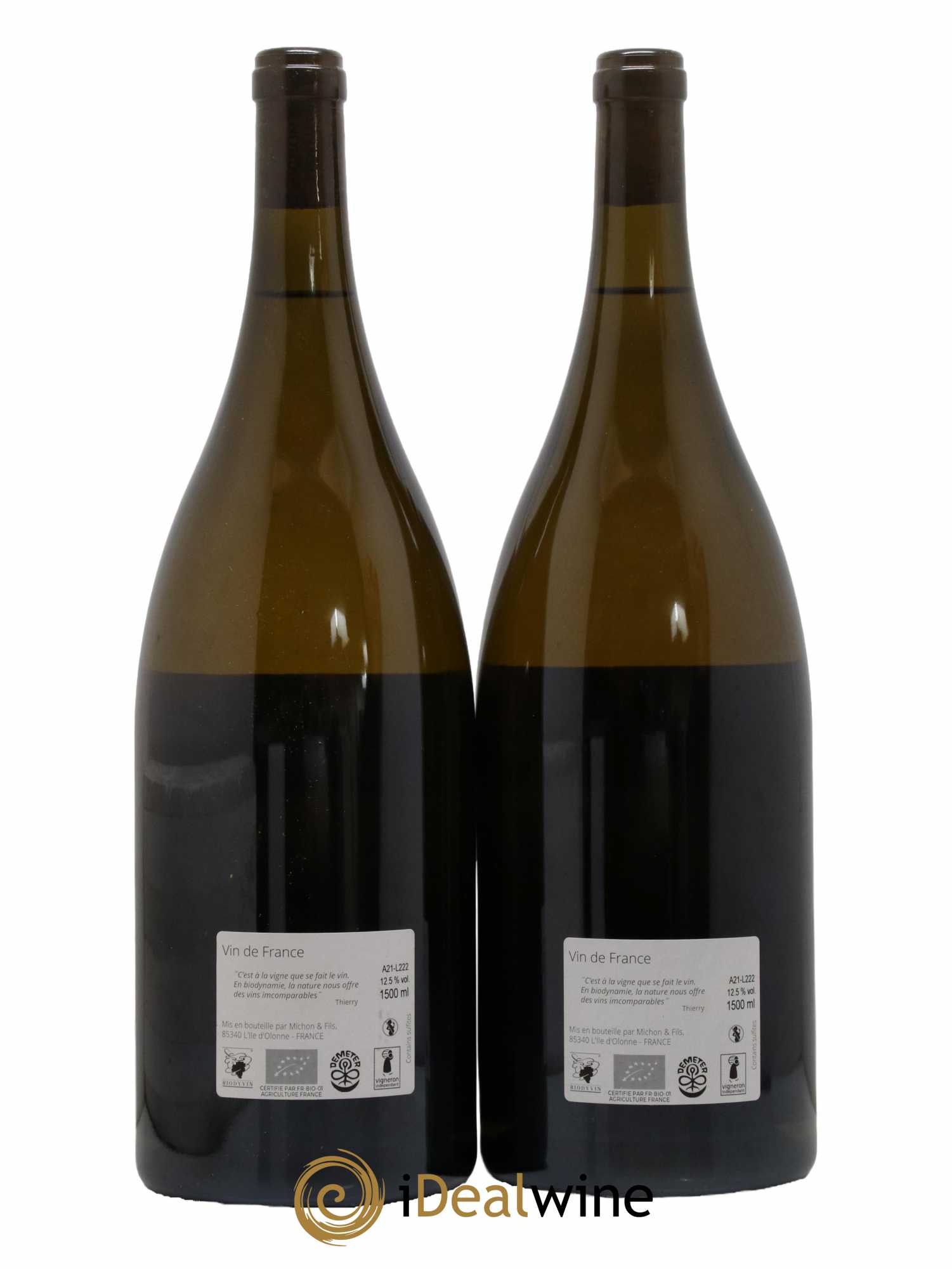 Vin de France Thierry Michon et Fils 2021 - Lotto di 2 magnum - 1