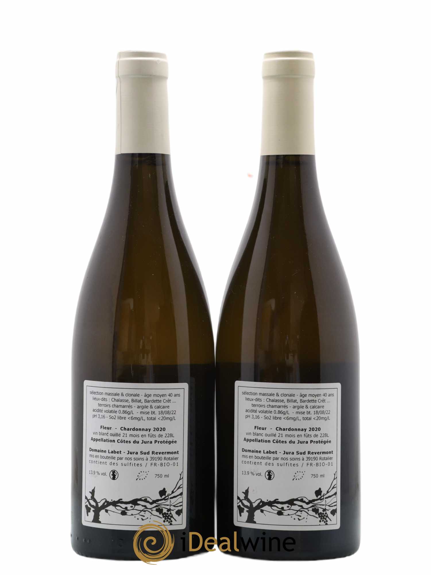 Côtes du Jura Chardonnay Fleur Romain - Julien - Charline Labet 2020 - Lot de 2 bouteilles - 1