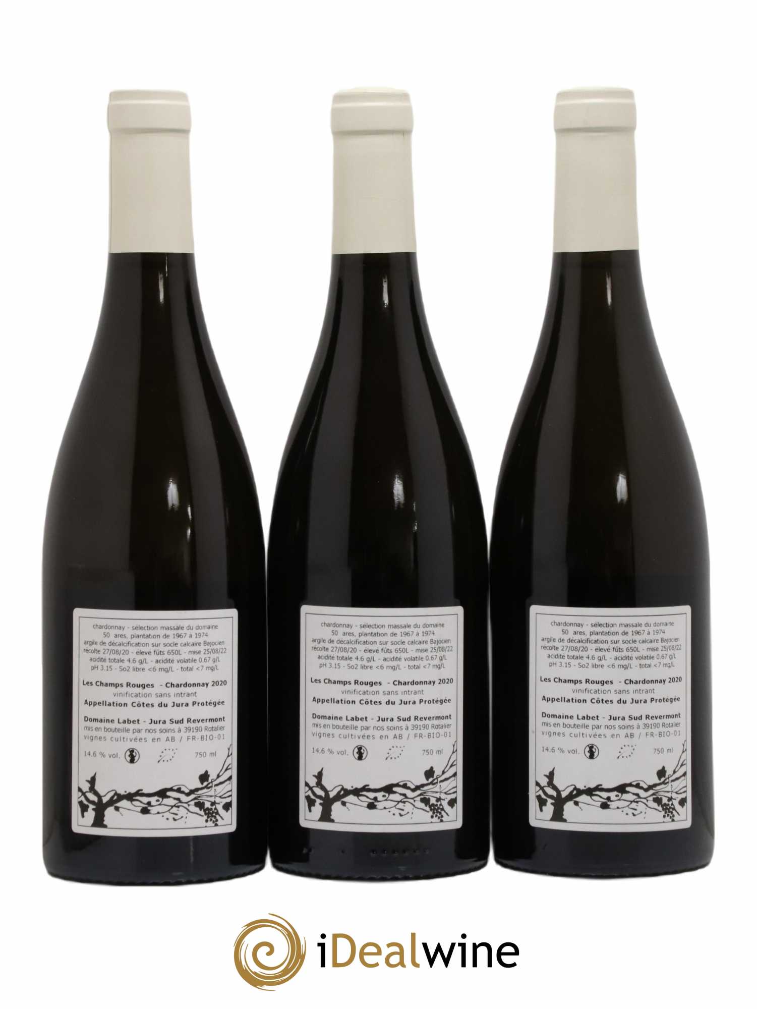 Côtes du Jura Chardonnay Les Champs Rouges Romain - Julien - Charline Labet 2020 - Lot de 3 bouteilles - 1