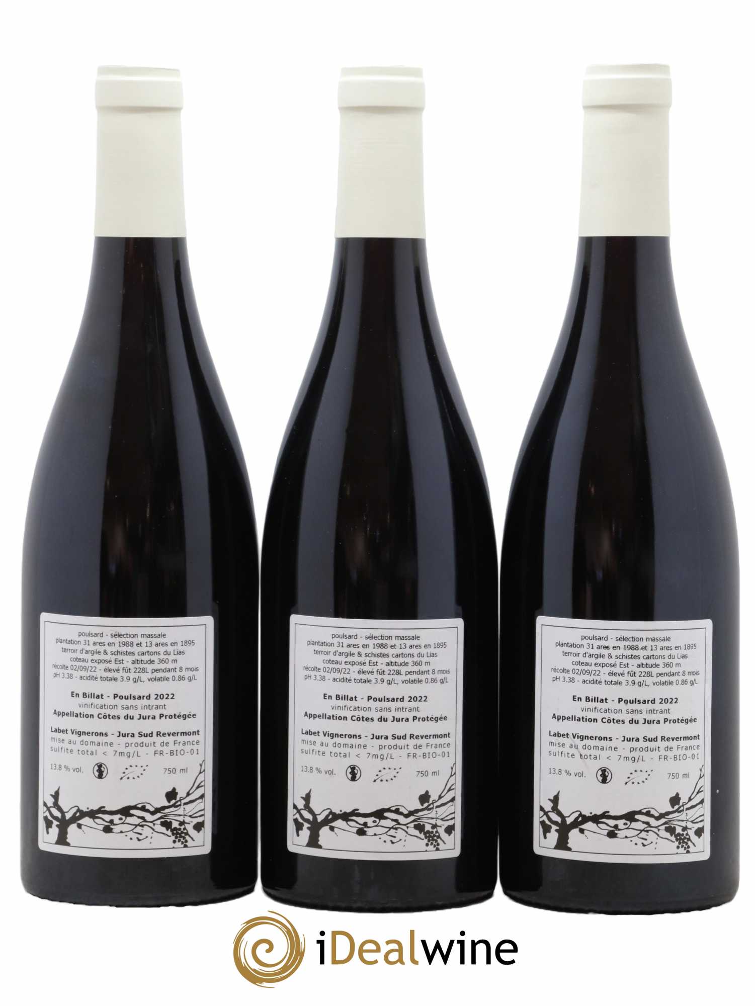 Côtes du Jura Poulsard En Billat Romain - Julien  - Charline Labet 2022 - Lot of 3 bottles - 1