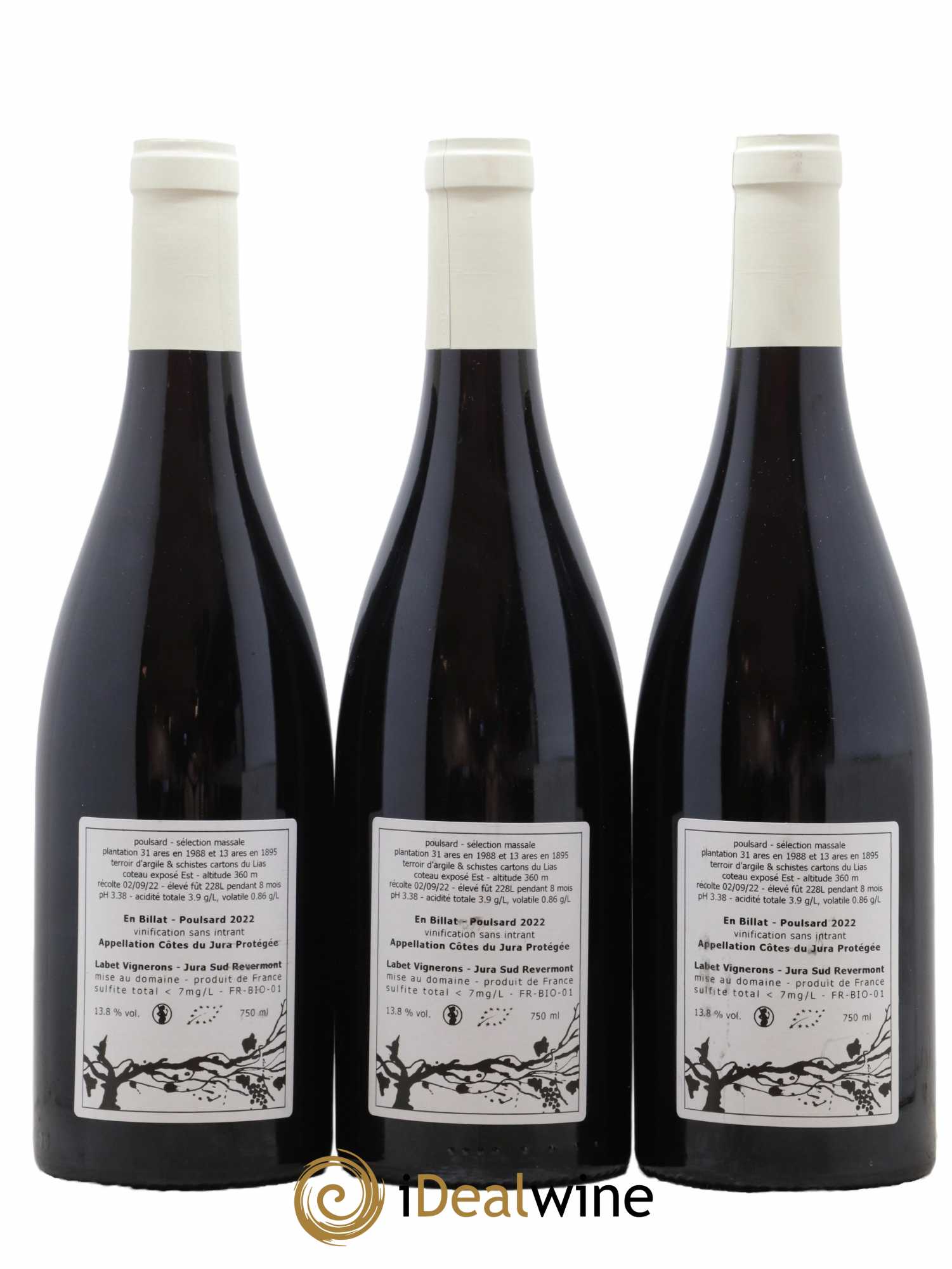 Côtes du Jura Poulsard En Billat Romain - Julien  - Charline Labet 2022 - Lot de 3 bouteilles - 1