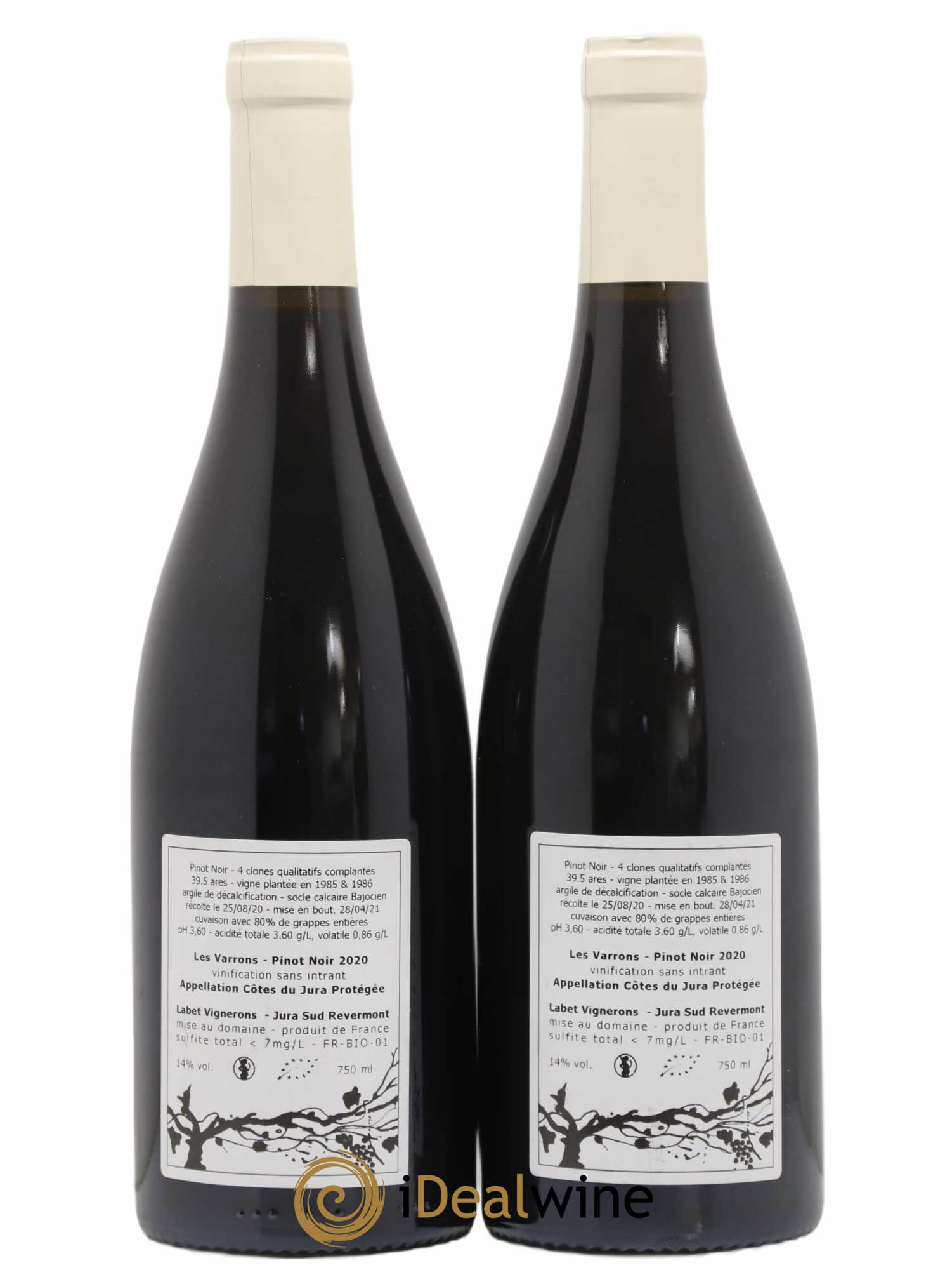 Côtes du Jura Pinot Noir Les Varrons Sélection Massale Romain - Julien - Charline Labet 2020 - Lot de 2 bouteilles - 1
